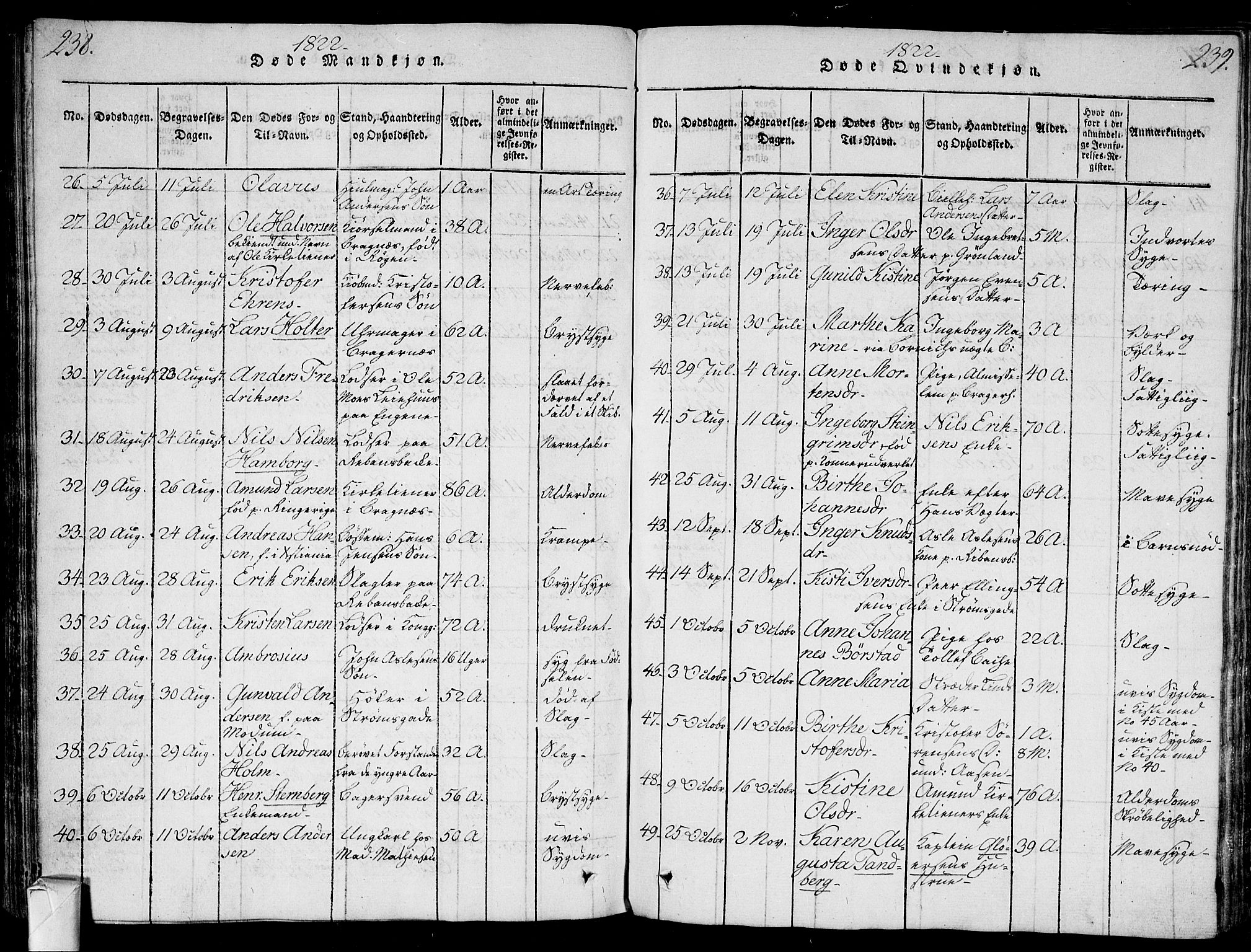 Bragernes kirkebøker, AV/SAKO-A-6/G/Ga/L0001: Parish register (copy) no. 1, 1815-1829, p. 238-239