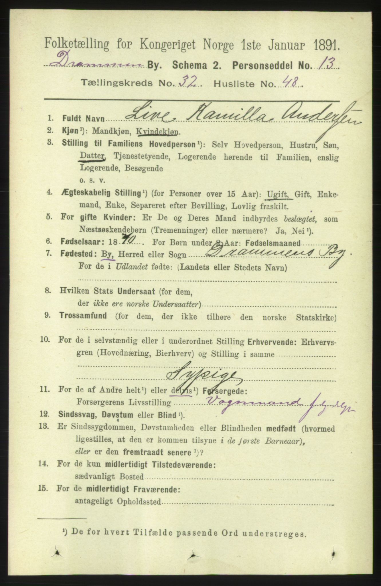 RA, 1891 census for 0602 Drammen, 1891, p. 19964