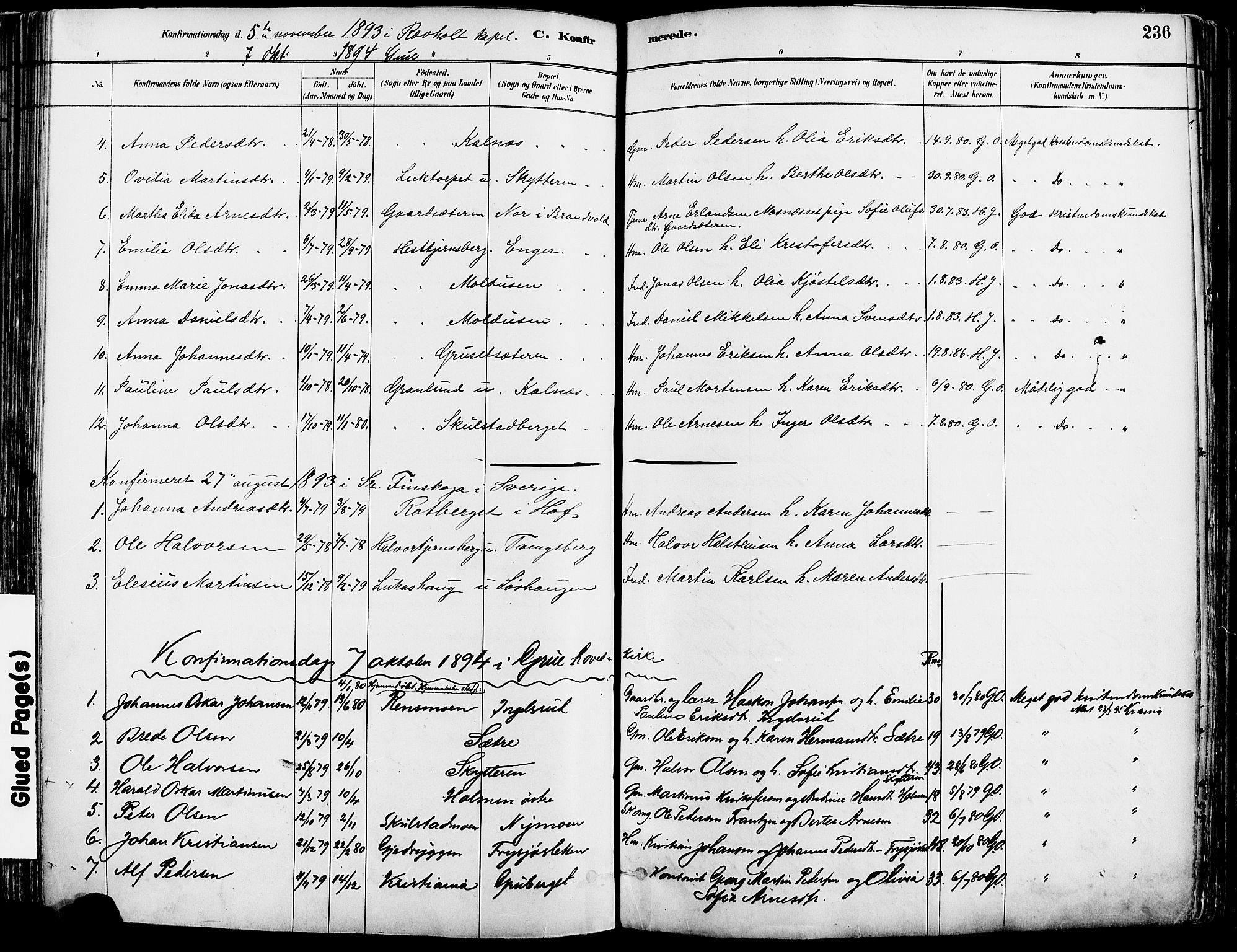 Grue prestekontor, SAH/PREST-036/H/Ha/Haa/L0012: Parish register (official) no. 12, 1881-1897, p. 236