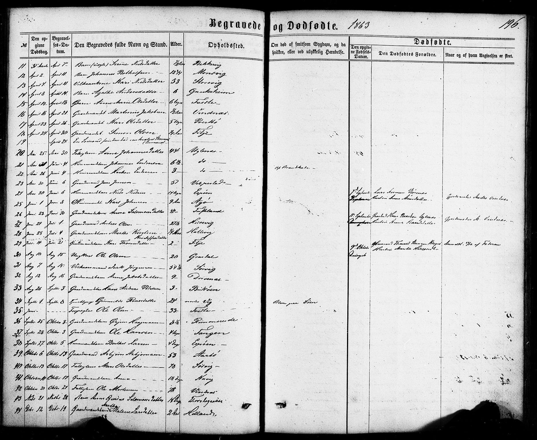 Fitjar sokneprestembete, AV/SAB-A-99926: Parish register (official) no. A 1, 1862-1881, p. 196