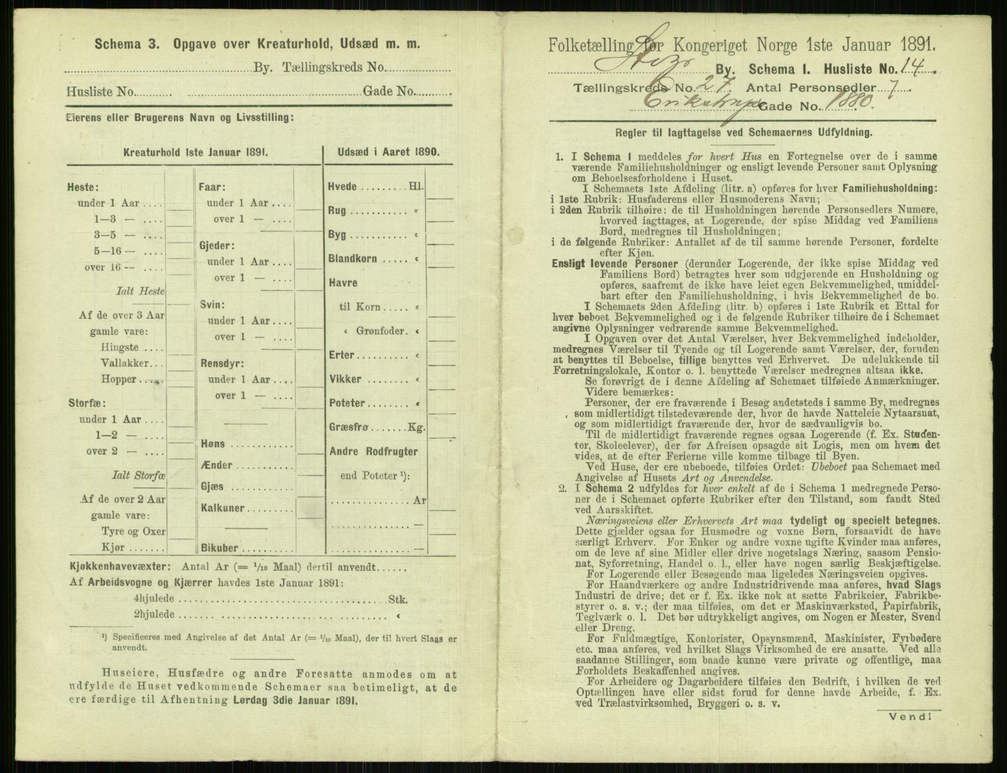 RA, 1891 census for 1103 Stavanger, 1891, p. 4973