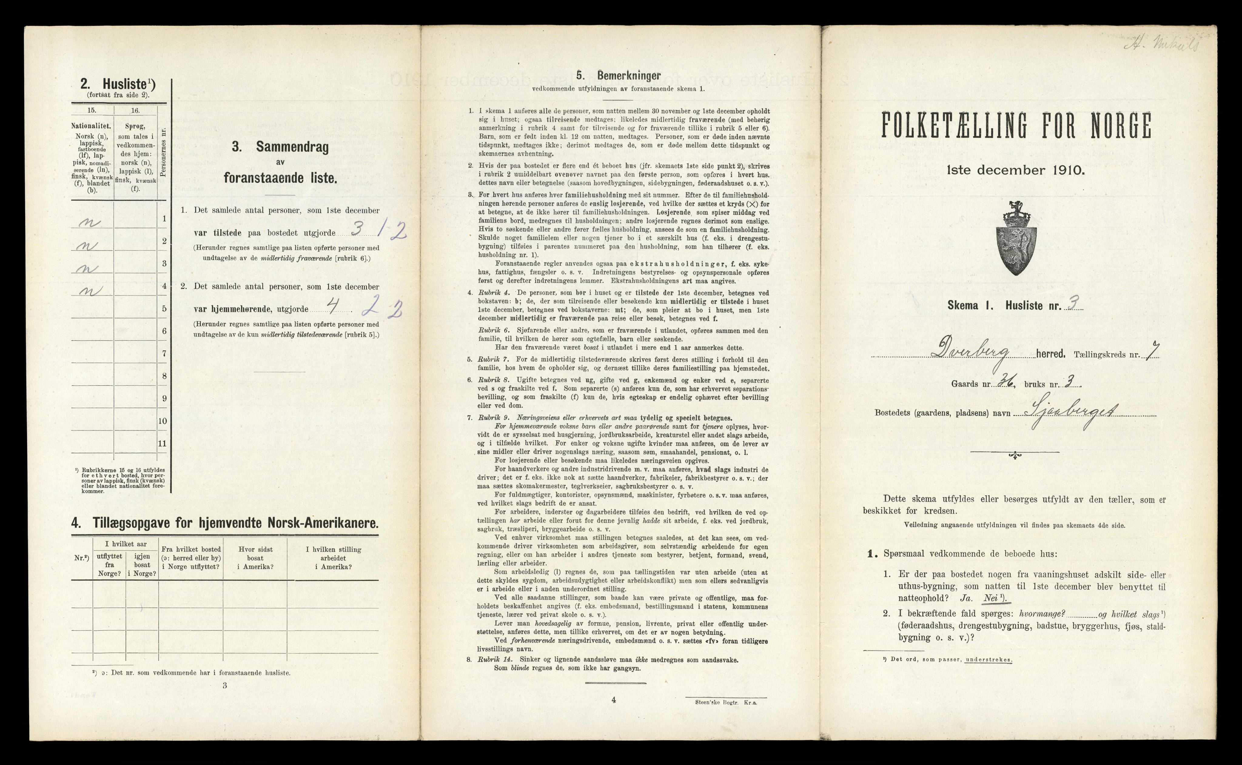 RA, 1910 census for Dverberg, 1910, p. 570