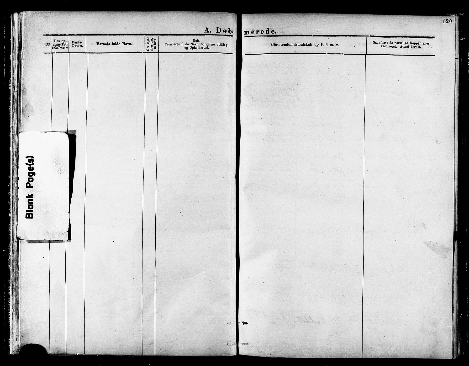 Nesseby sokneprestkontor, SATØ/S-1330/H/Ha/L0004kirke: Parish register (official) no. 4, 1877-1884, p. 120