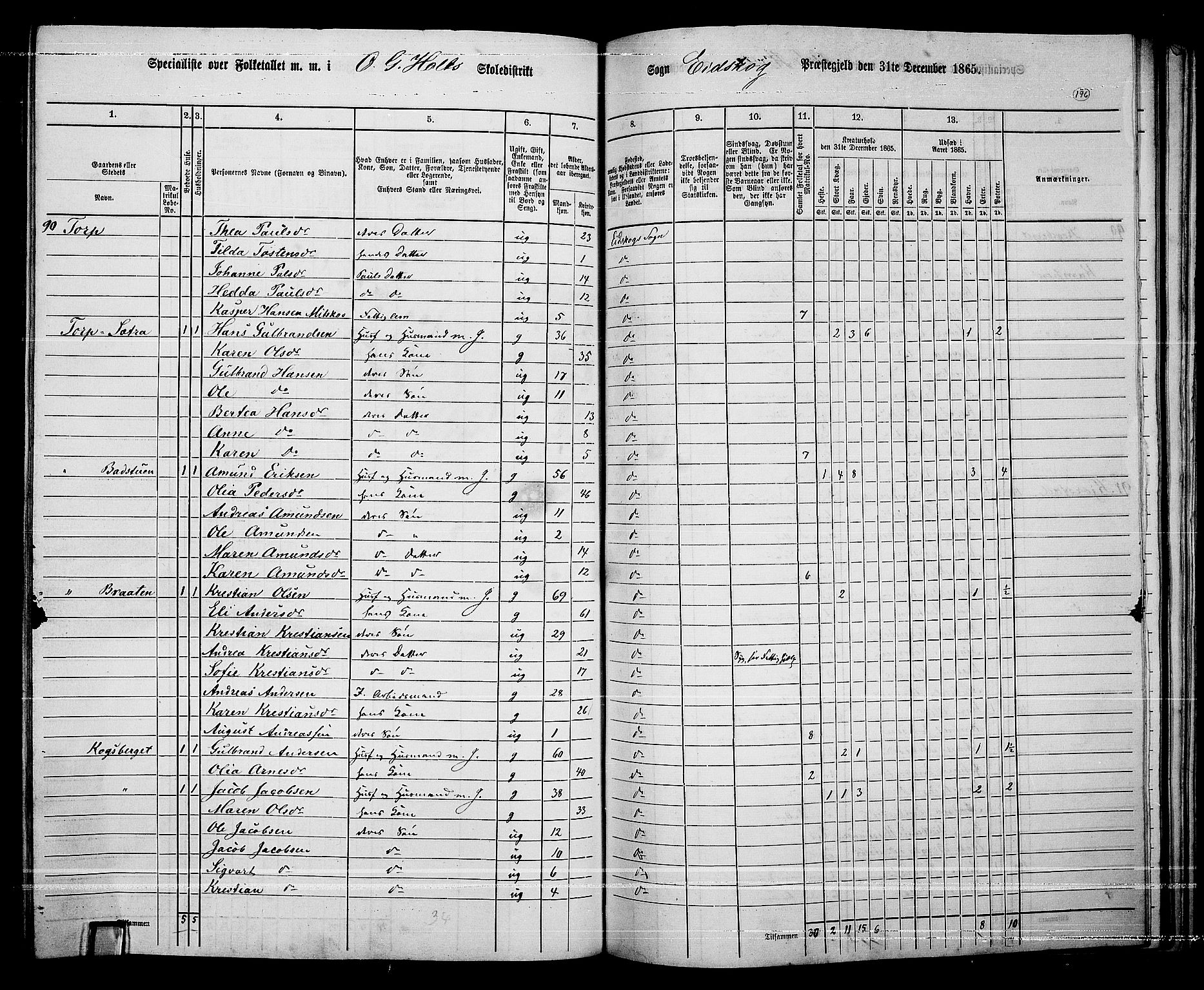 RA, 1865 census for Eidskog, 1865, p. 174