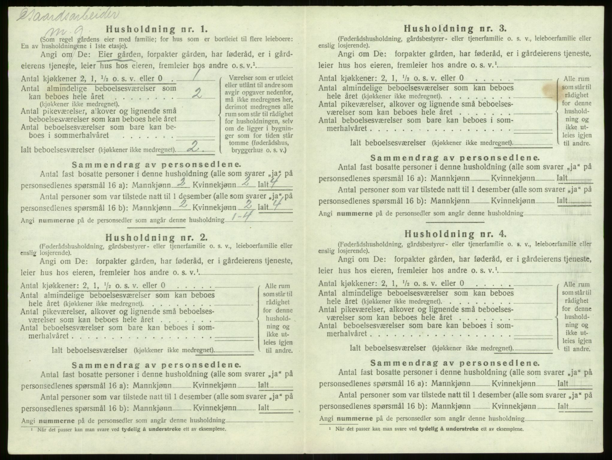 SAB, 1920 census for Lærdal, 1920, p. 507