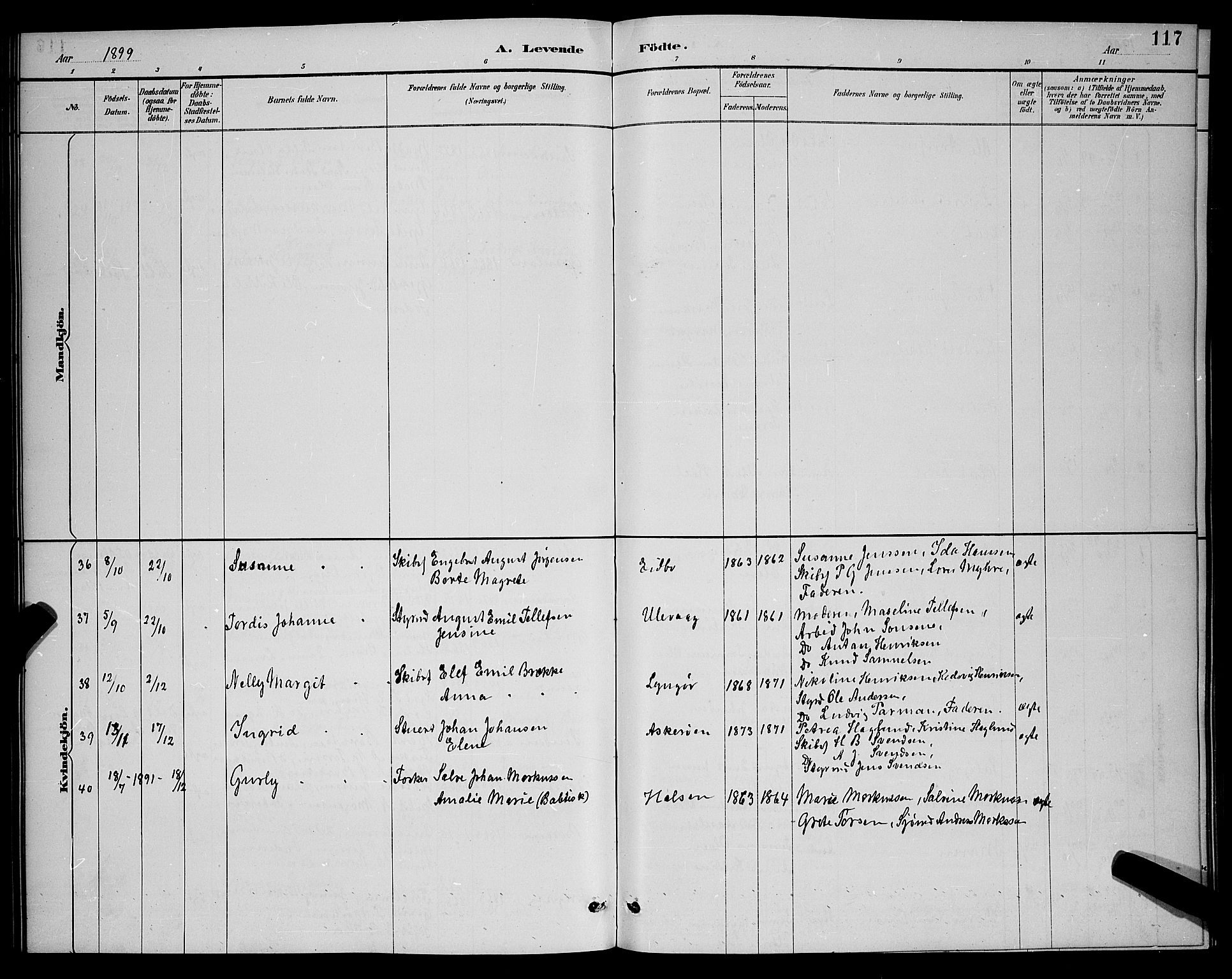 Dypvåg sokneprestkontor, AV/SAK-1111-0007/F/Fb/Fba/L0013: Parish register (copy) no. B 13, 1887-1900, p. 117