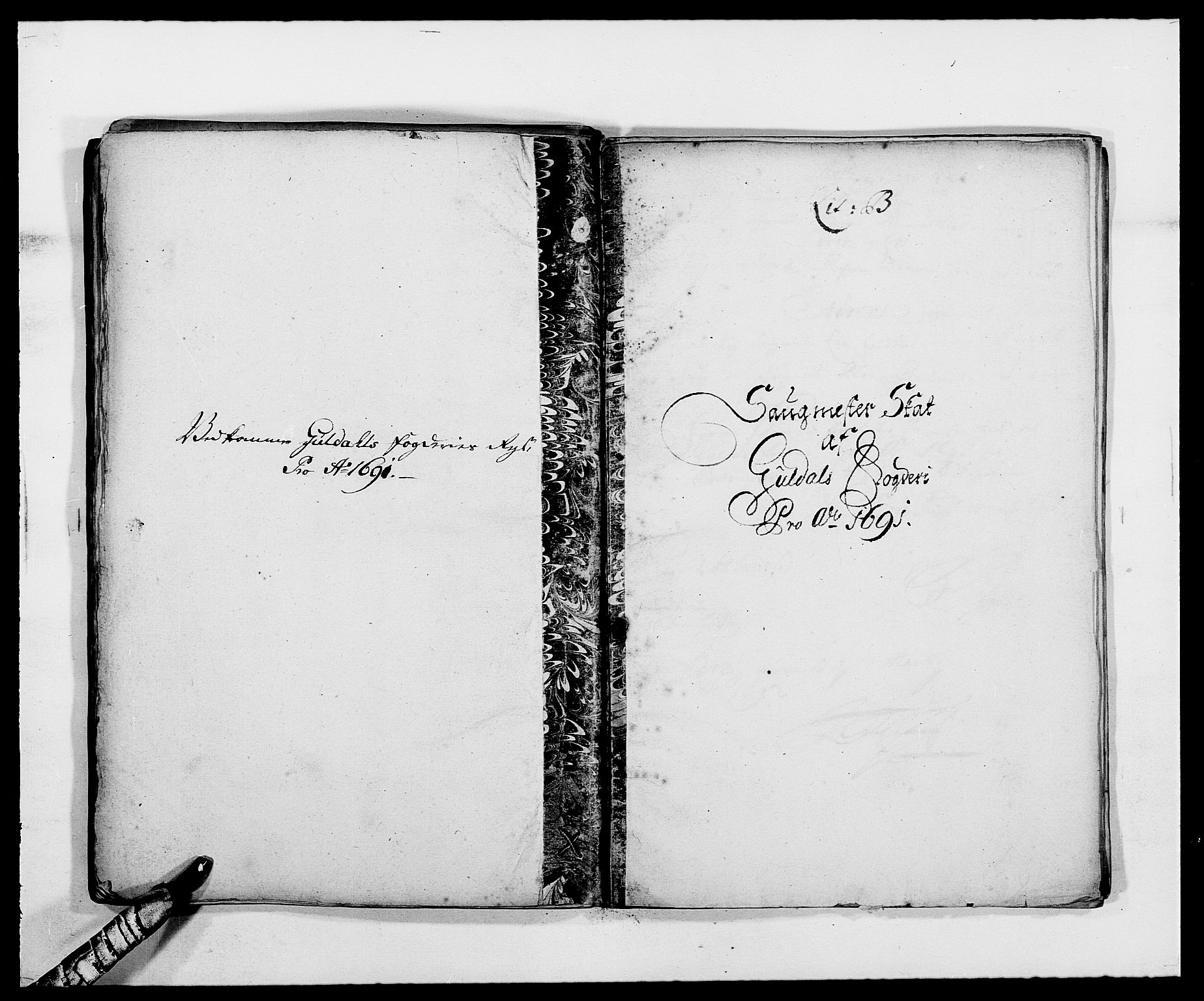Rentekammeret inntil 1814, Reviderte regnskaper, Fogderegnskap, RA/EA-4092/R59/L3941: Fogderegnskap Gauldal, 1691, p. 61