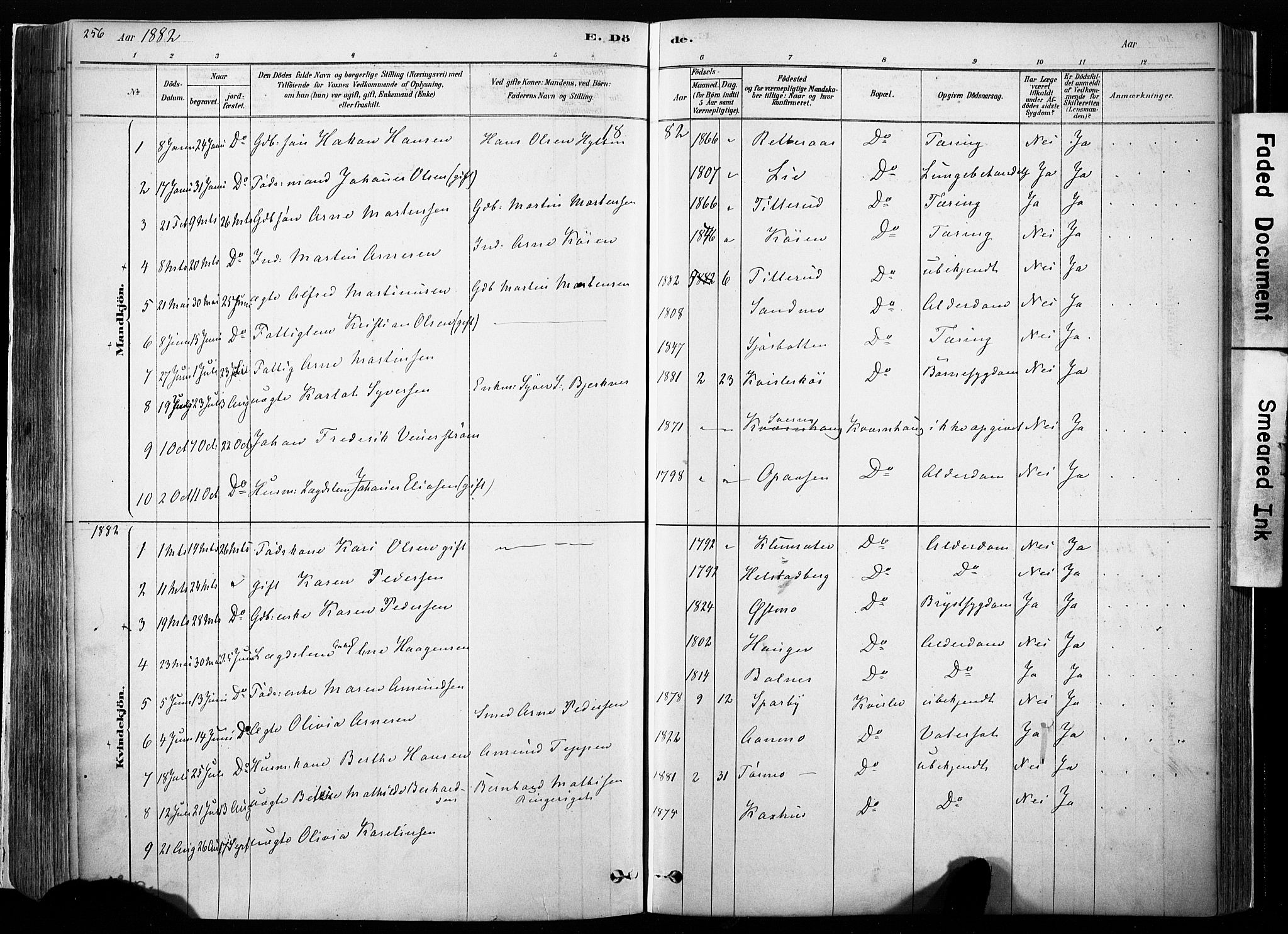 Hof prestekontor, SAH/PREST-038/H/Ha/Haa/L0010: Parish register (official) no. 10, 1878-1909, p. 256