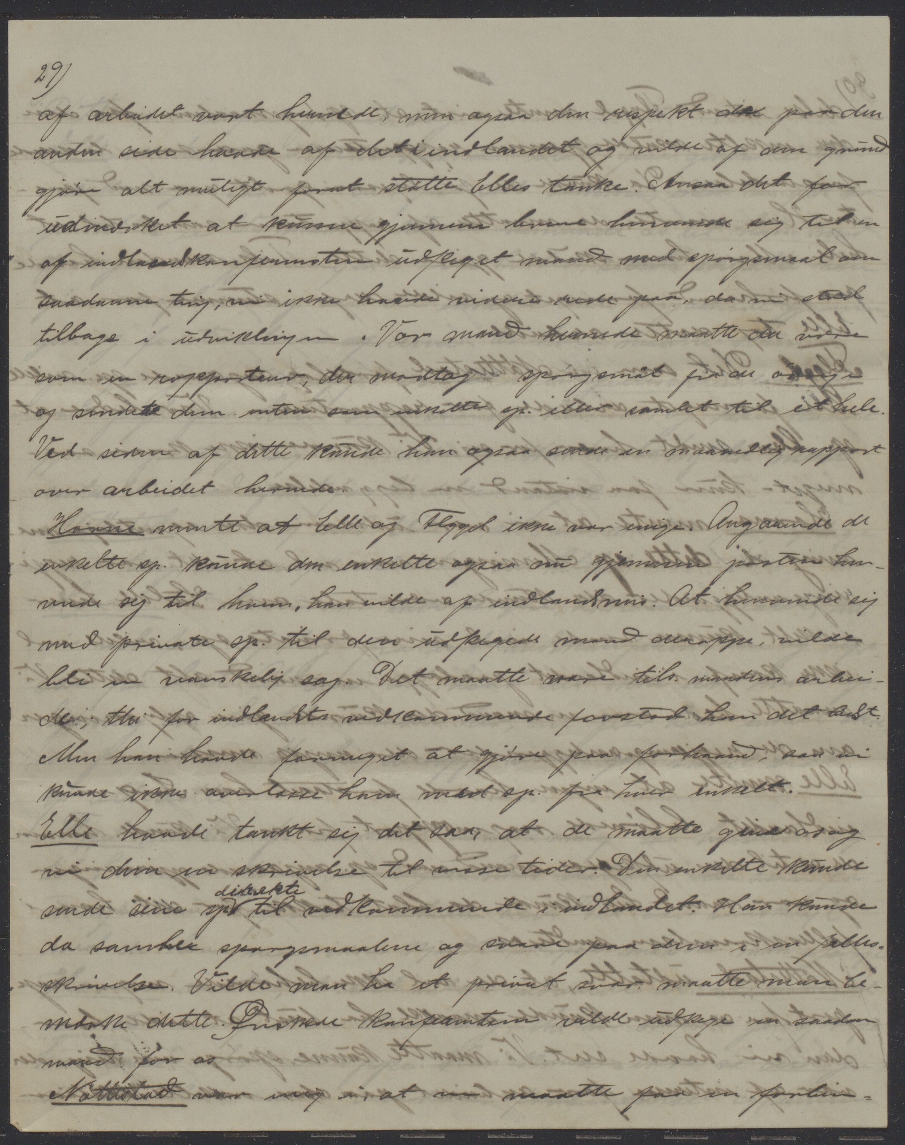 Det Norske Misjonsselskap - hovedadministrasjonen, VID/MA-A-1045/D/Da/Daa/L0043/0004: Konferansereferat og årsberetninger / Konferansereferat fra Øst-Madagaskar., 1899, p. 29