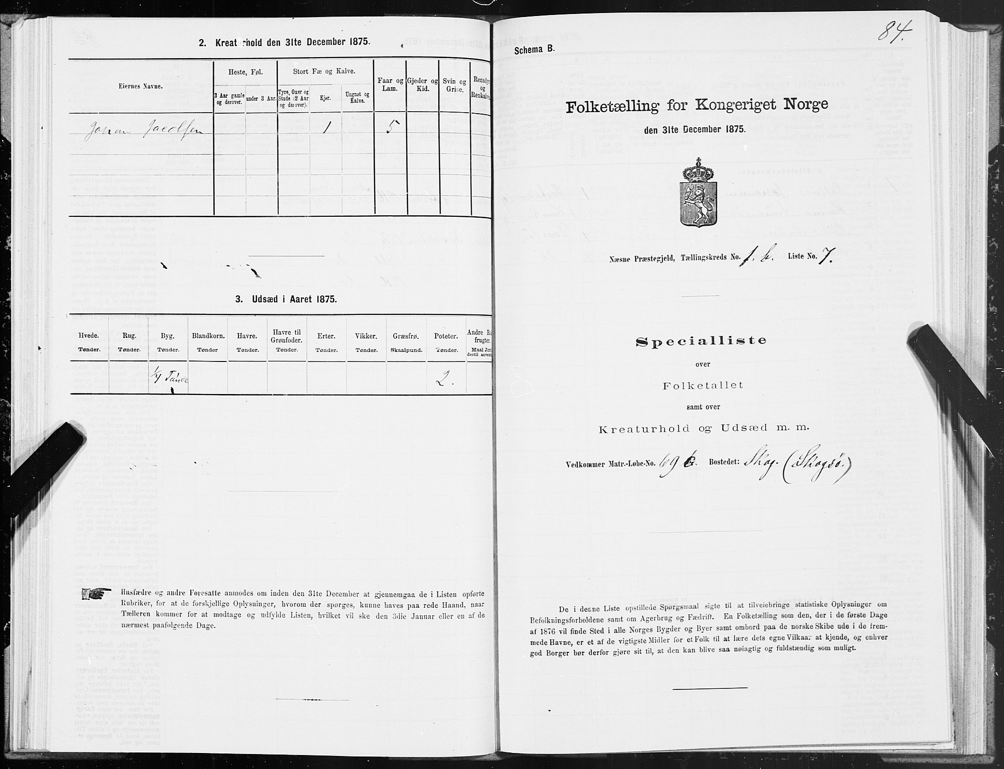 SAT, 1875 census for 1828P Nesna, 1875, p. 1084