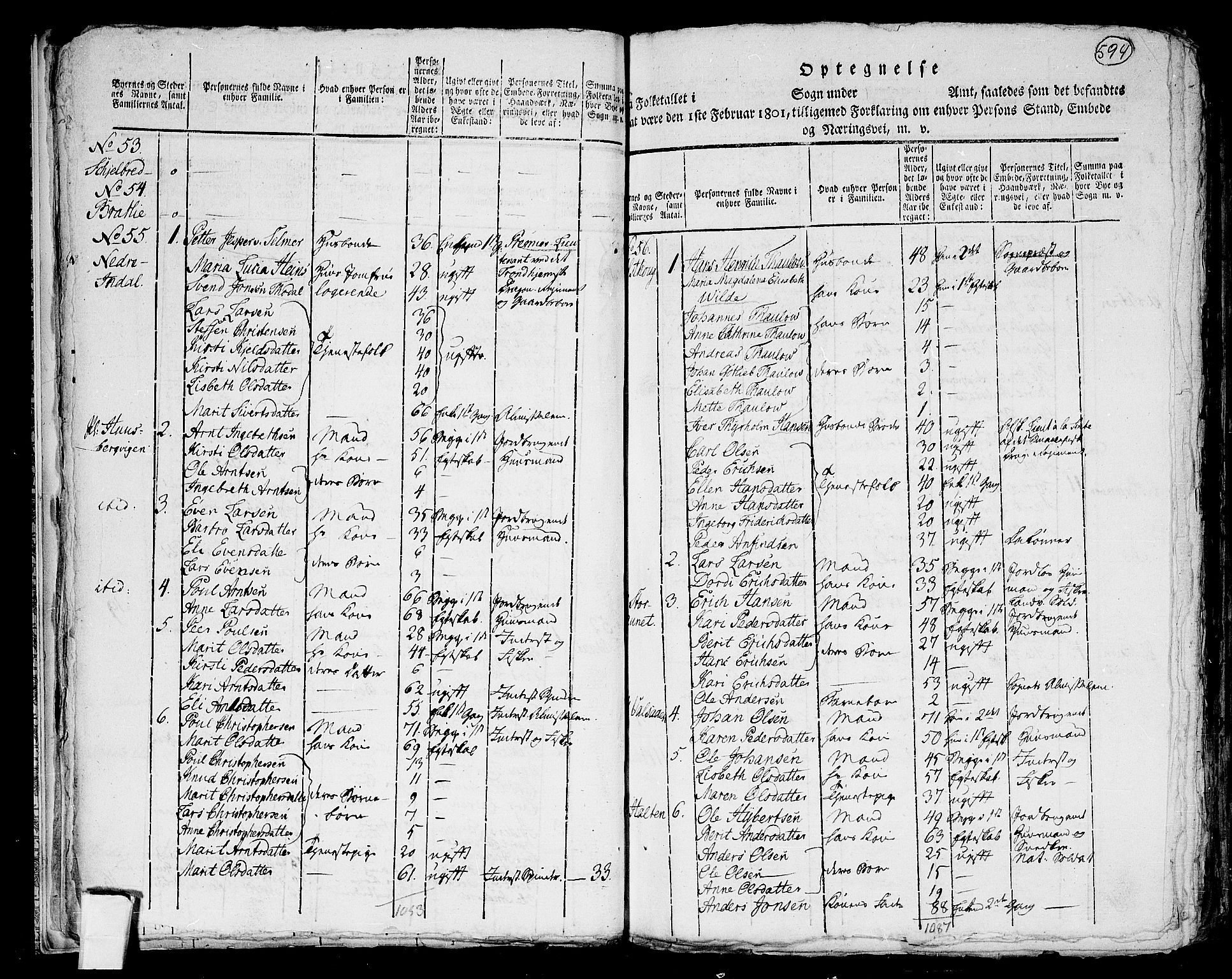 RA, 1801 census for 1625P Stadsbygd, 1801, p. 593b-594a