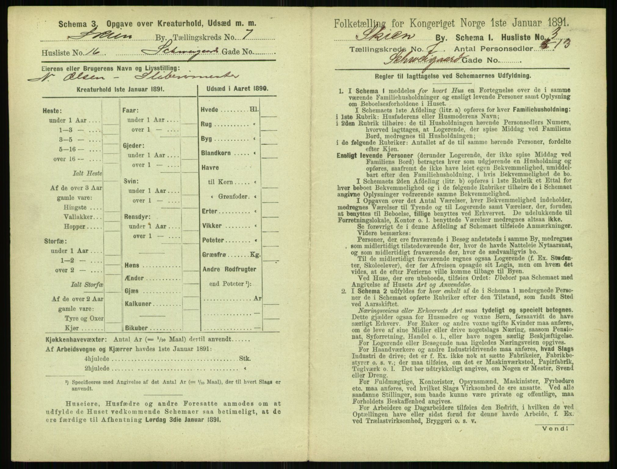 RA, 1891 census for 0806 Skien, 1891, p. 312