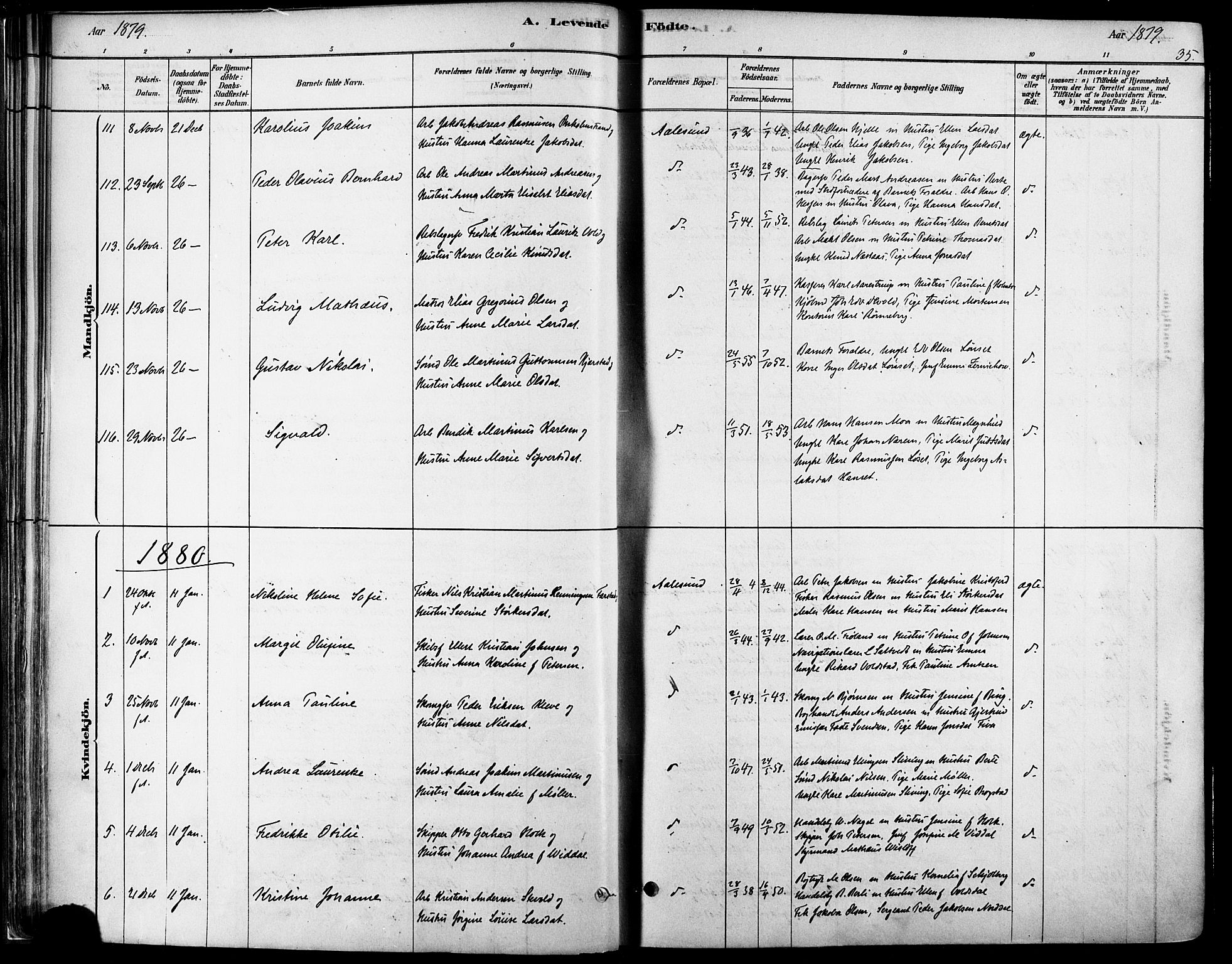 Ministerialprotokoller, klokkerbøker og fødselsregistre - Møre og Romsdal, AV/SAT-A-1454/529/L0454: Parish register (official) no. 529A04, 1878-1885, p. 35