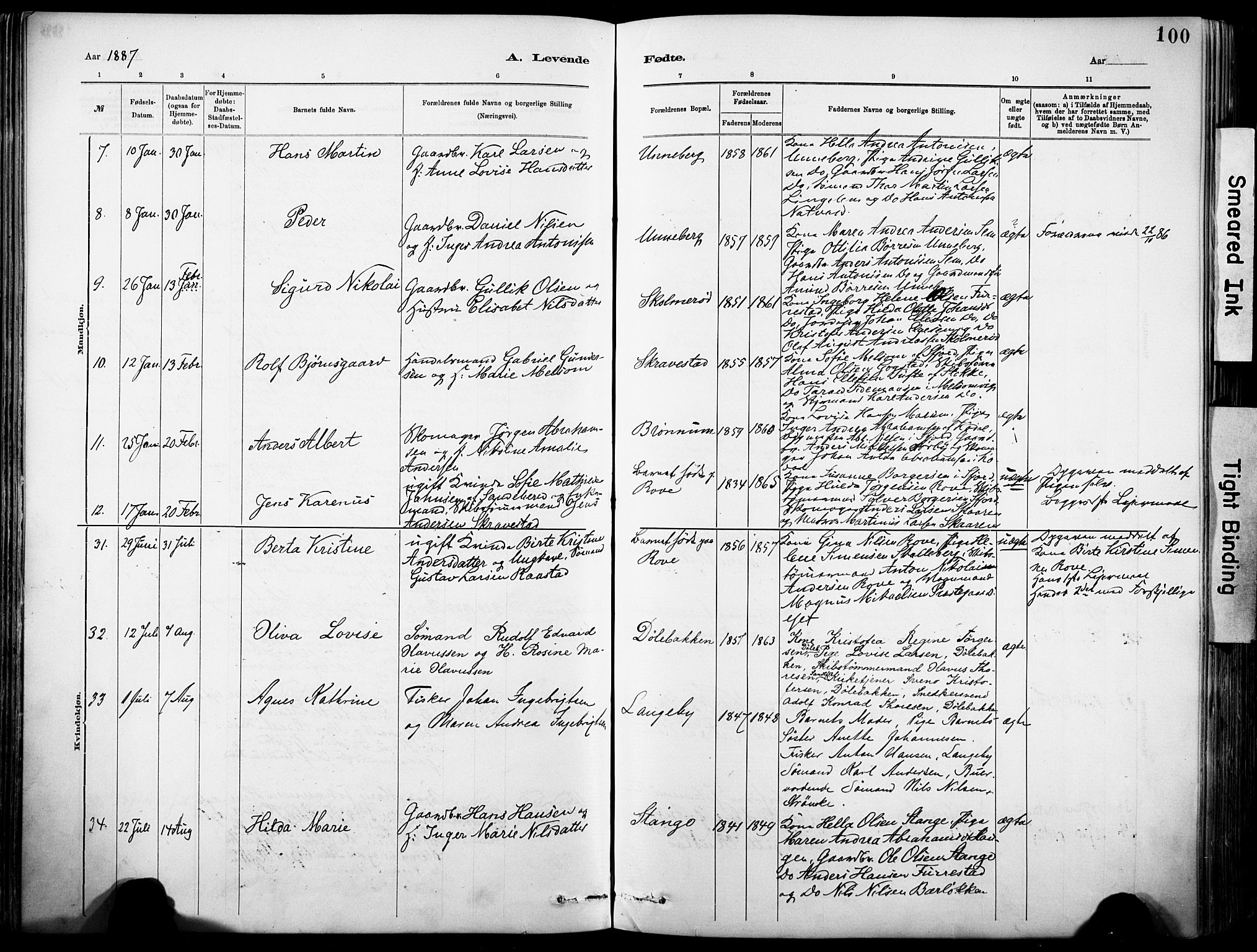 Sandar kirkebøker, SAKO/A-243/F/Fa/L0012: Parish register (official) no. 12, 1883-1895, p. 100