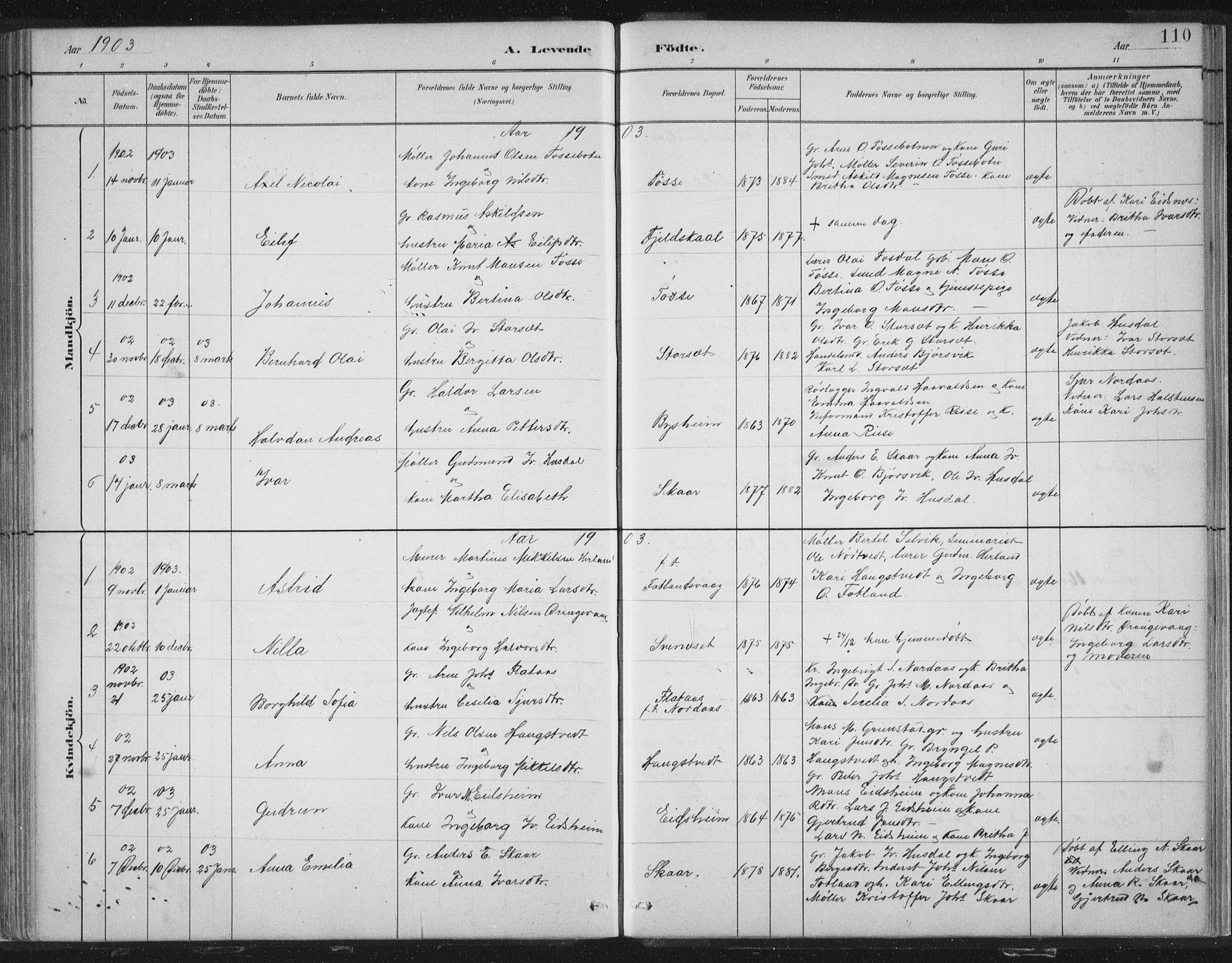 Hosanger sokneprestembete, SAB/A-75801/H/Hab: Parish register (copy) no. A 3 I, 1882-1903, p. 110