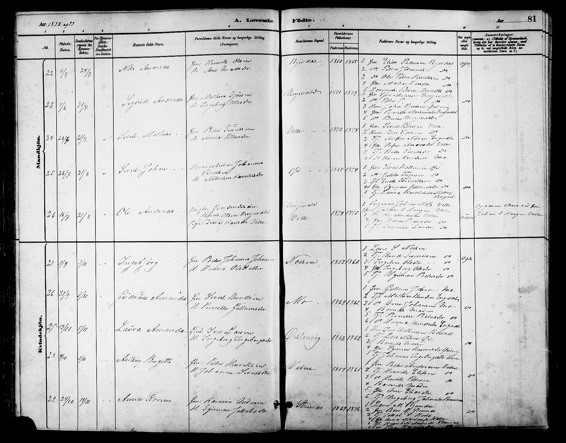 Ministerialprotokoller, klokkerbøker og fødselsregistre - Møre og Romsdal, AV/SAT-A-1454/513/L0189: Parish register (copy) no. 513C03, 1883-1904, p. 81