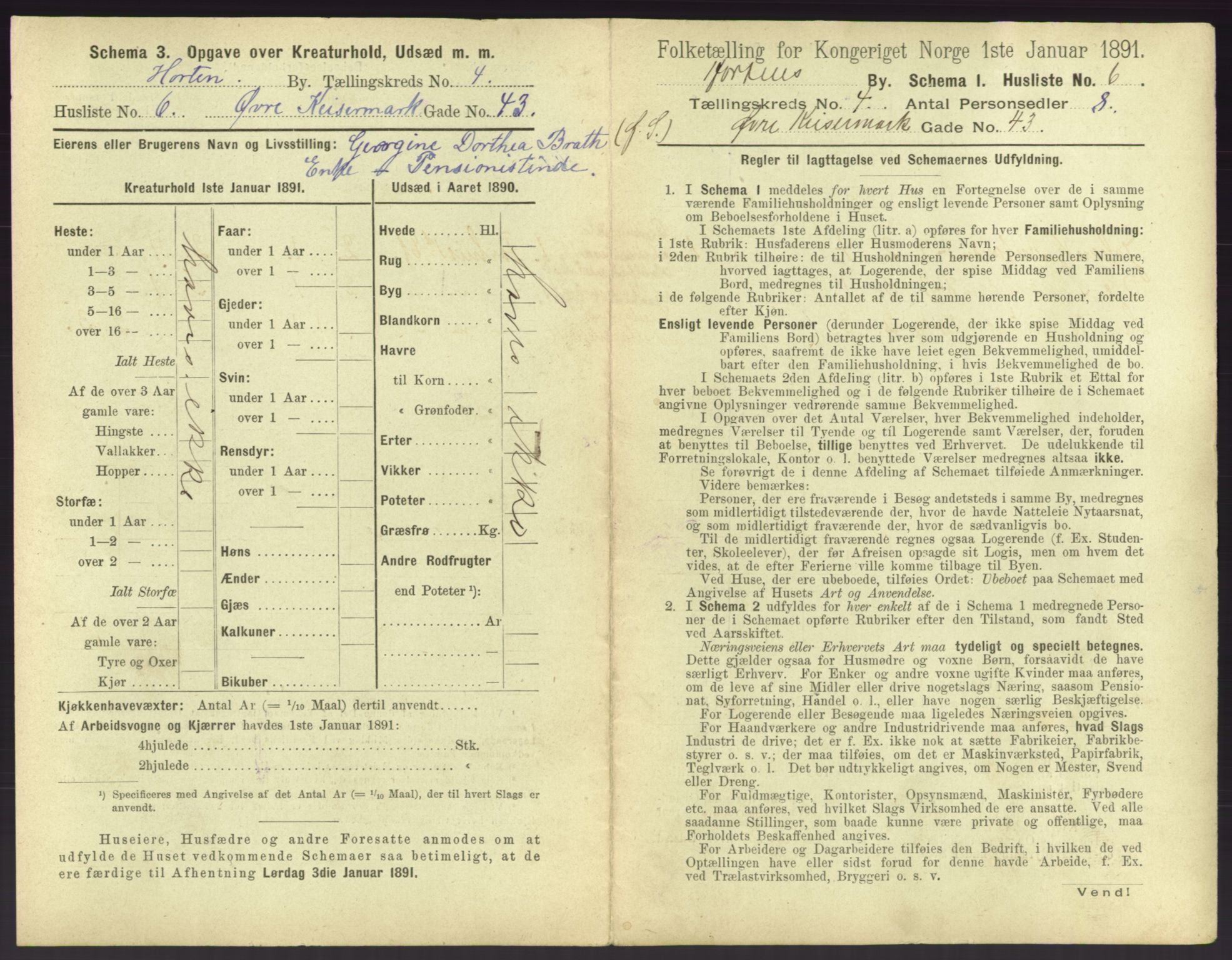 RA, 1891 census for 0703 Horten, 1891, p. 407