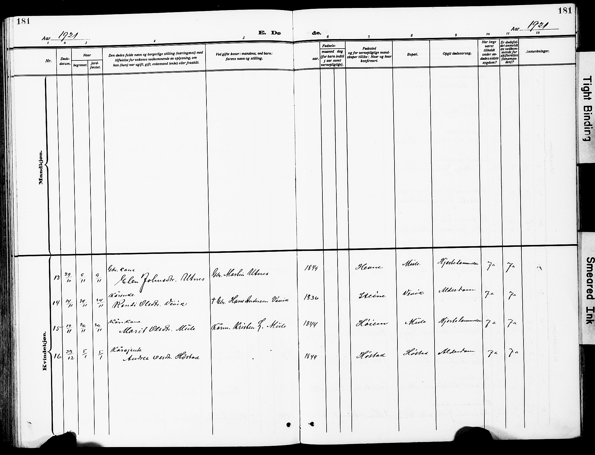 Ministerialprotokoller, klokkerbøker og fødselsregistre - Sør-Trøndelag, AV/SAT-A-1456/612/L0388: Parish register (copy) no. 612C04, 1909-1929, p. 181