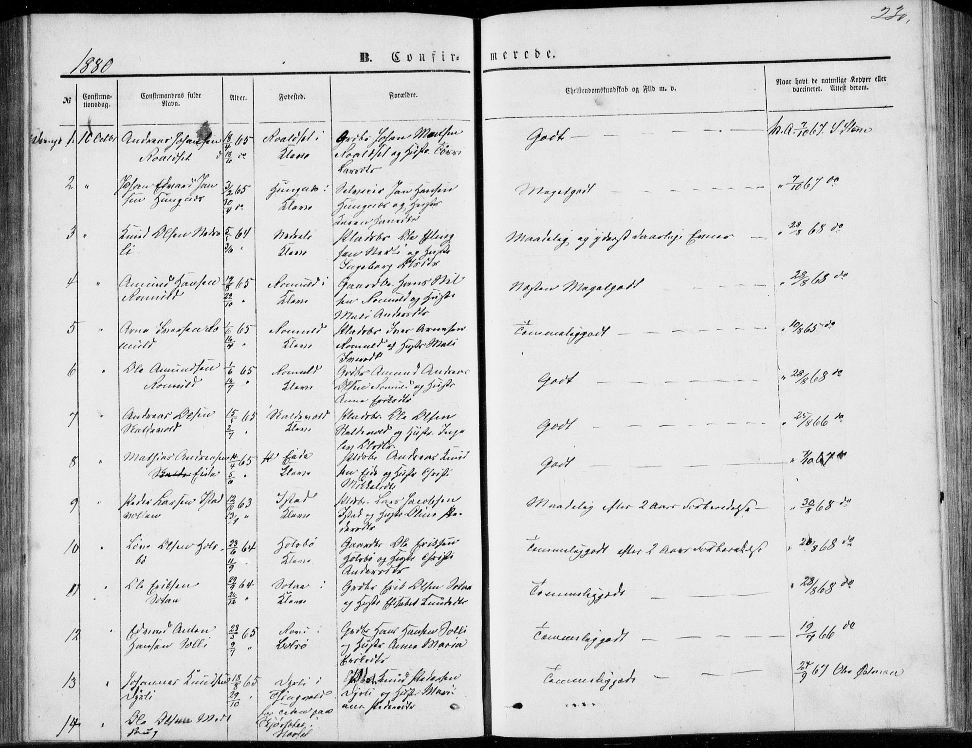 Ministerialprotokoller, klokkerbøker og fødselsregistre - Møre og Romsdal, SAT/A-1454/557/L0681: Parish register (official) no. 557A03, 1869-1886, p. 230