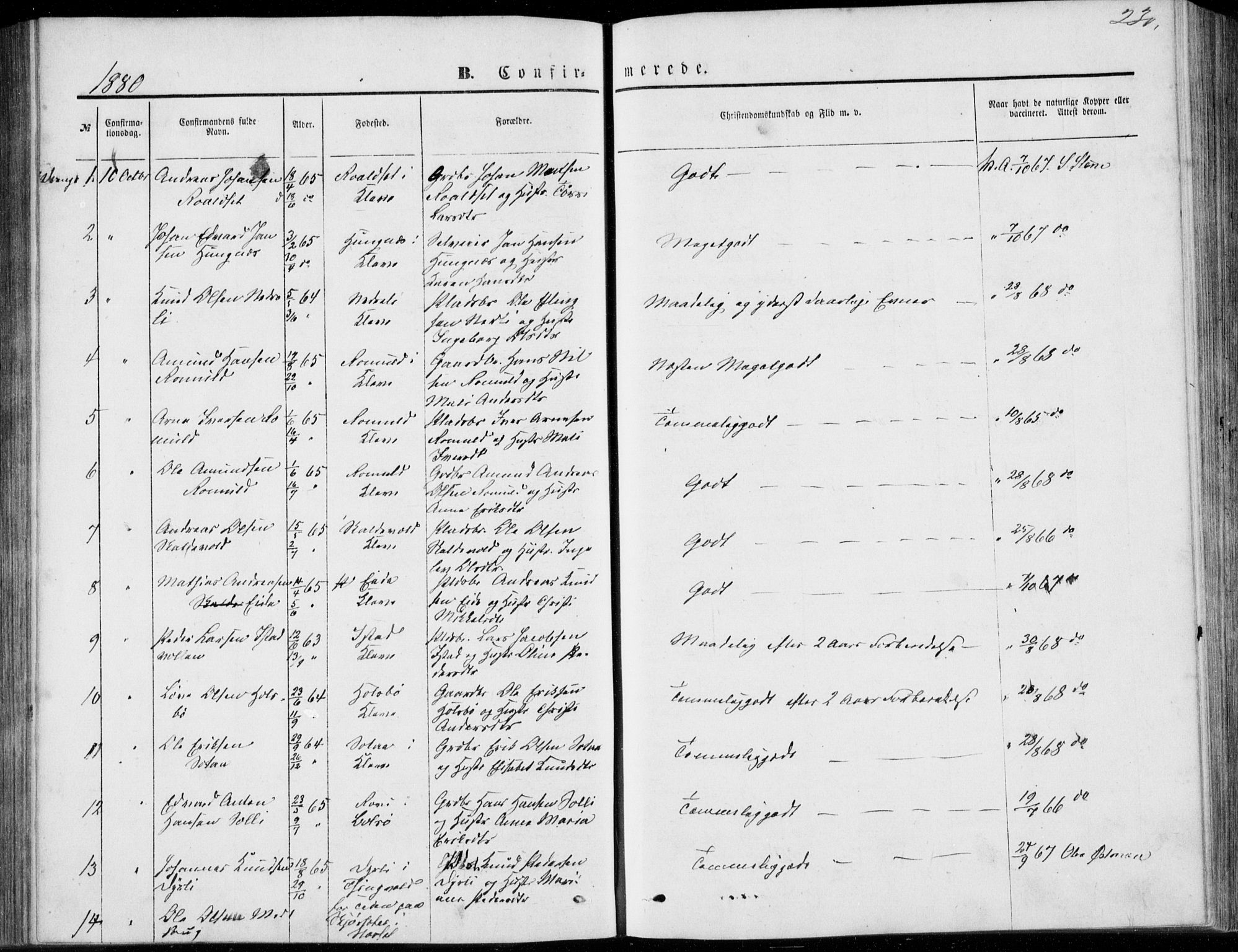 Ministerialprotokoller, klokkerbøker og fødselsregistre - Møre og Romsdal, AV/SAT-A-1454/557/L0681: Parish register (official) no. 557A03, 1869-1886, p. 230