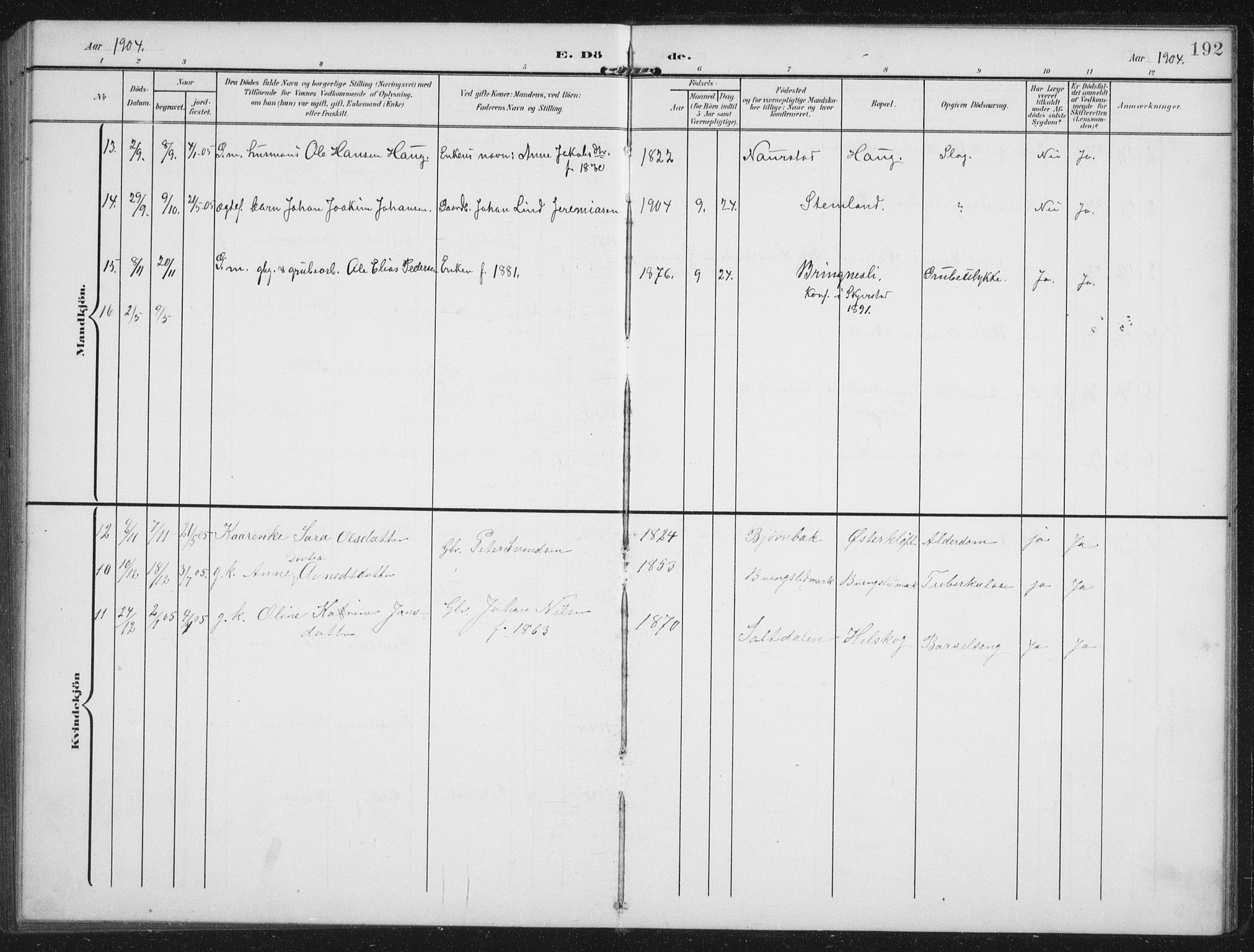 Ministerialprotokoller, klokkerbøker og fødselsregistre - Nordland, AV/SAT-A-1459/851/L0726: Parish register (copy) no. 851C01, 1902-1924, p. 192