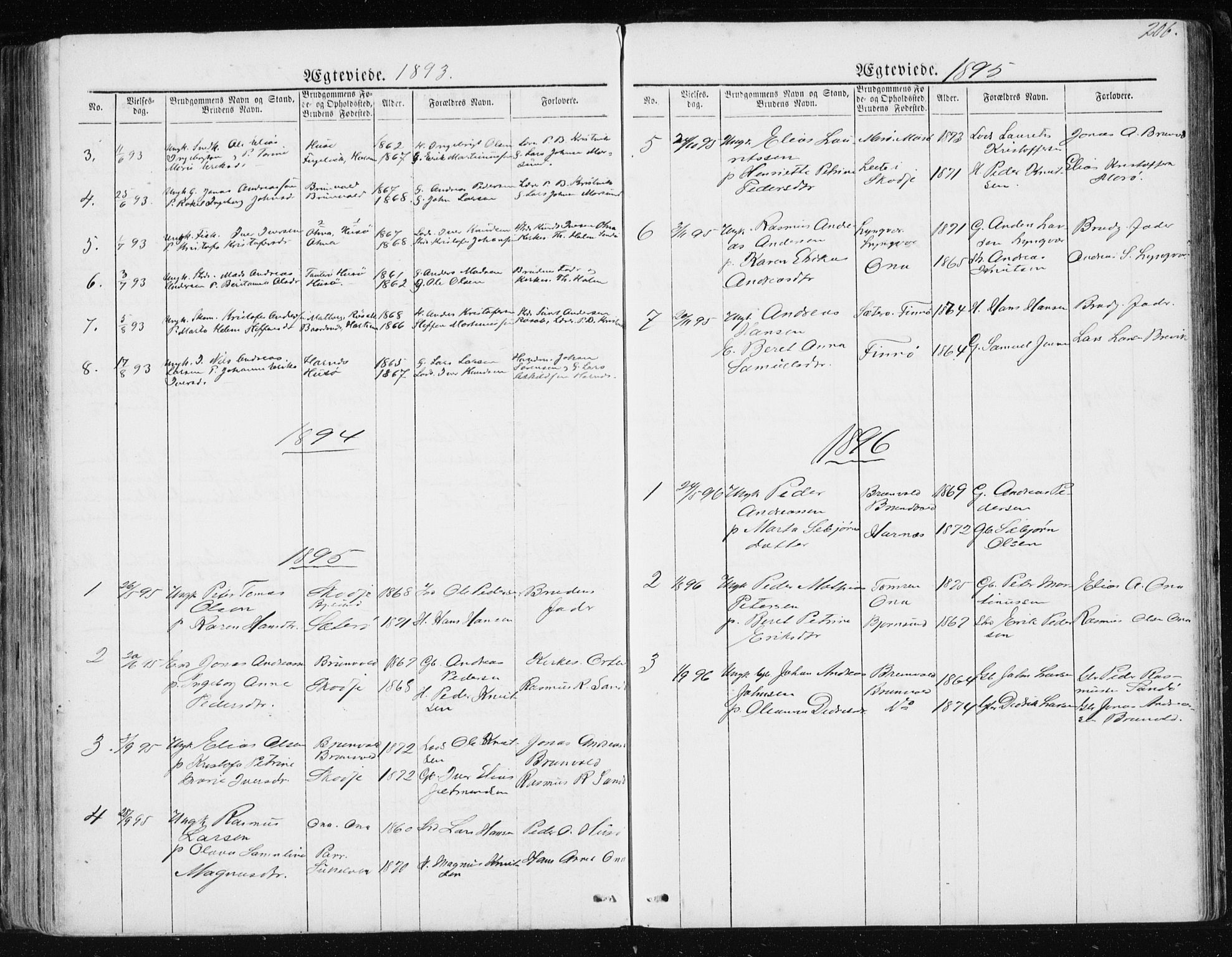 Ministerialprotokoller, klokkerbøker og fødselsregistre - Møre og Romsdal, AV/SAT-A-1454/561/L0732: Parish register (copy) no. 561C02, 1867-1900, p. 206