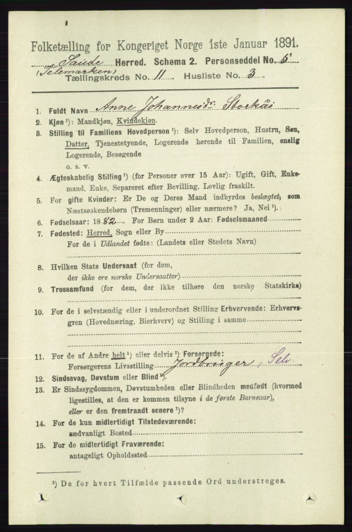 RA, 1891 census for 0822 Sauherad, 1891, p. 3390