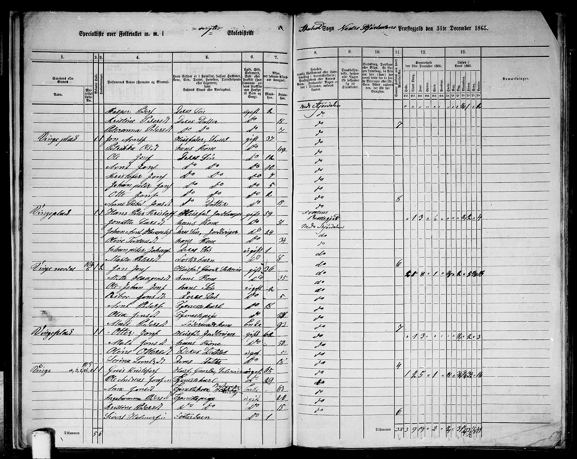 RA, 1865 census for Nedre Stjørdal, 1865, p. 25