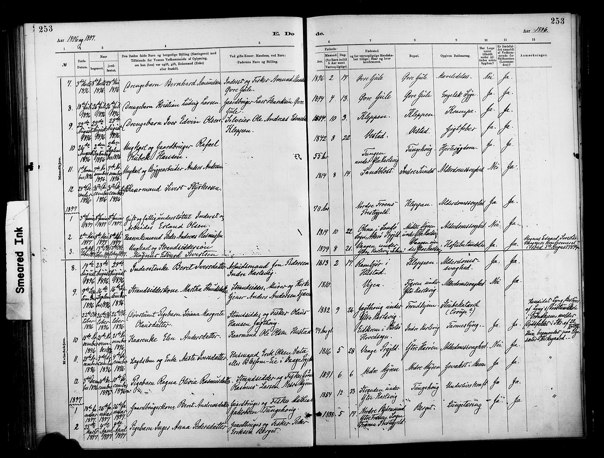 Ministerialprotokoller, klokkerbøker og fødselsregistre - Møre og Romsdal, AV/SAT-A-1454/566/L0769: Parish register (official) no. 566A08, 1881-1903, p. 253