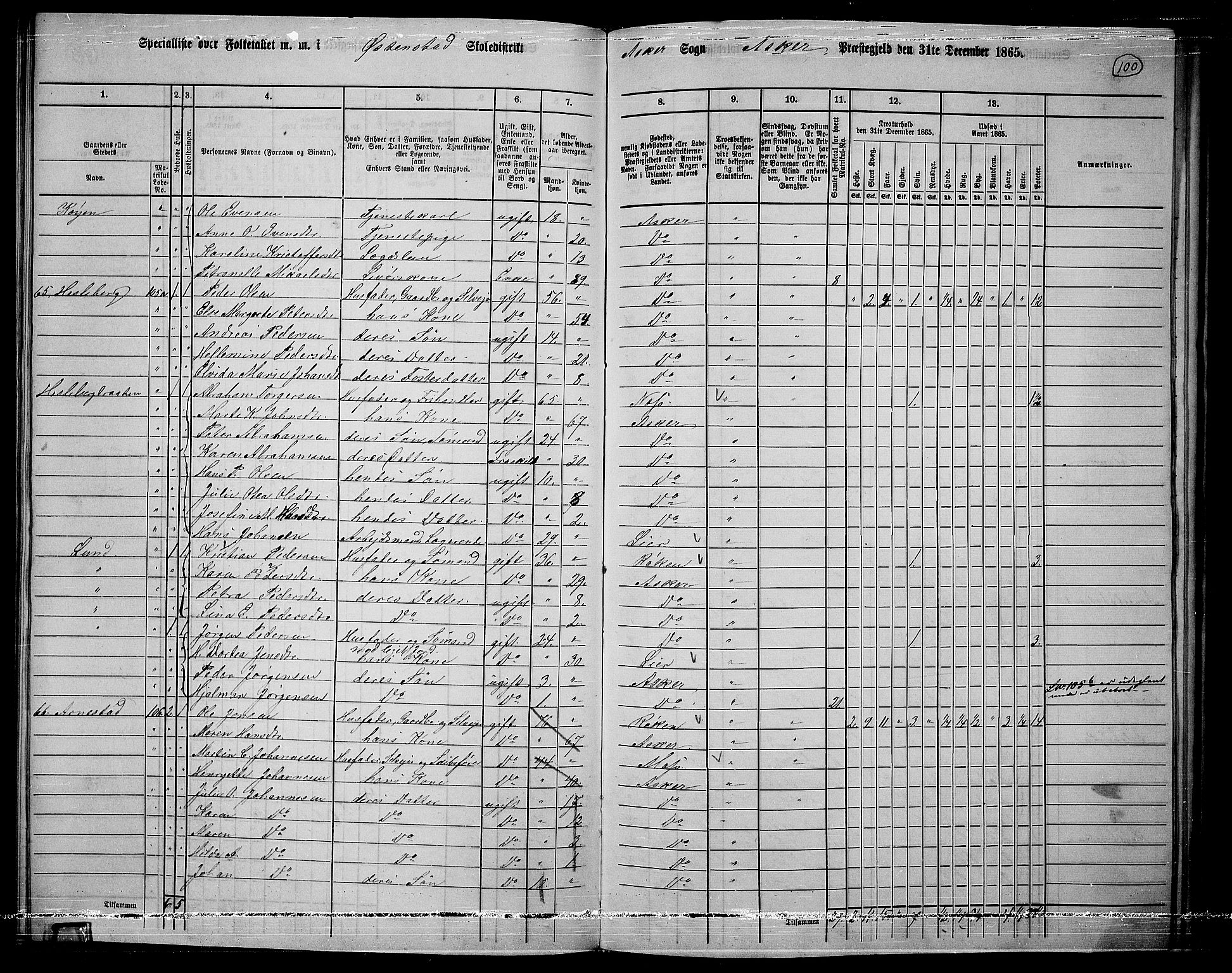 RA, 1865 census for Asker, 1865, p. 96