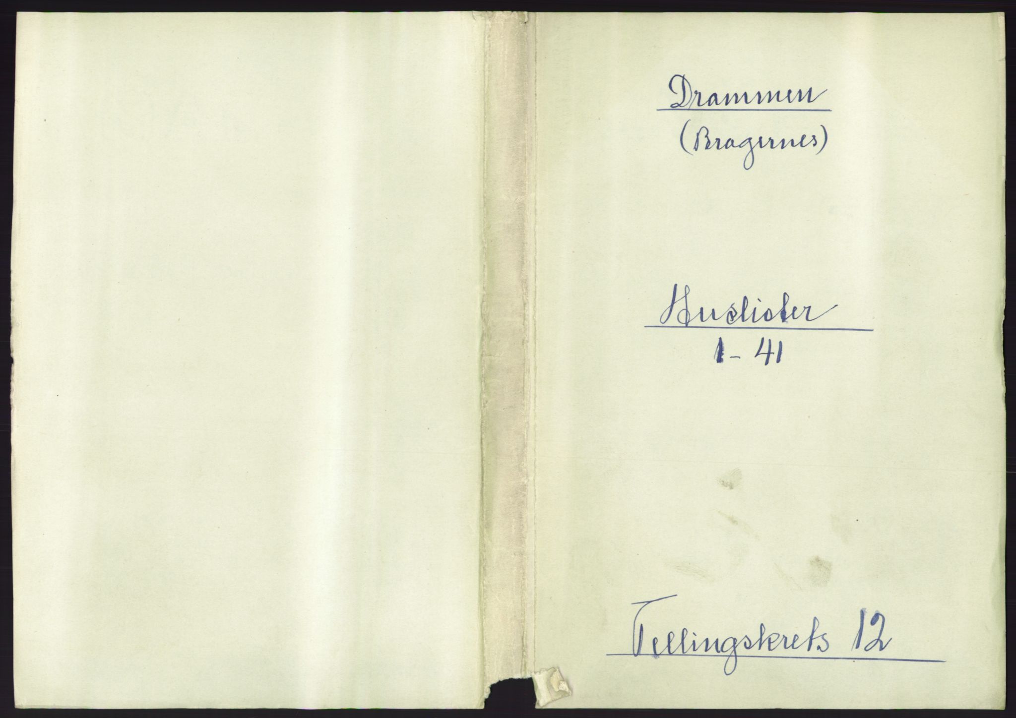 RA, 1891 census for 0602 Drammen, 1891, p. 989