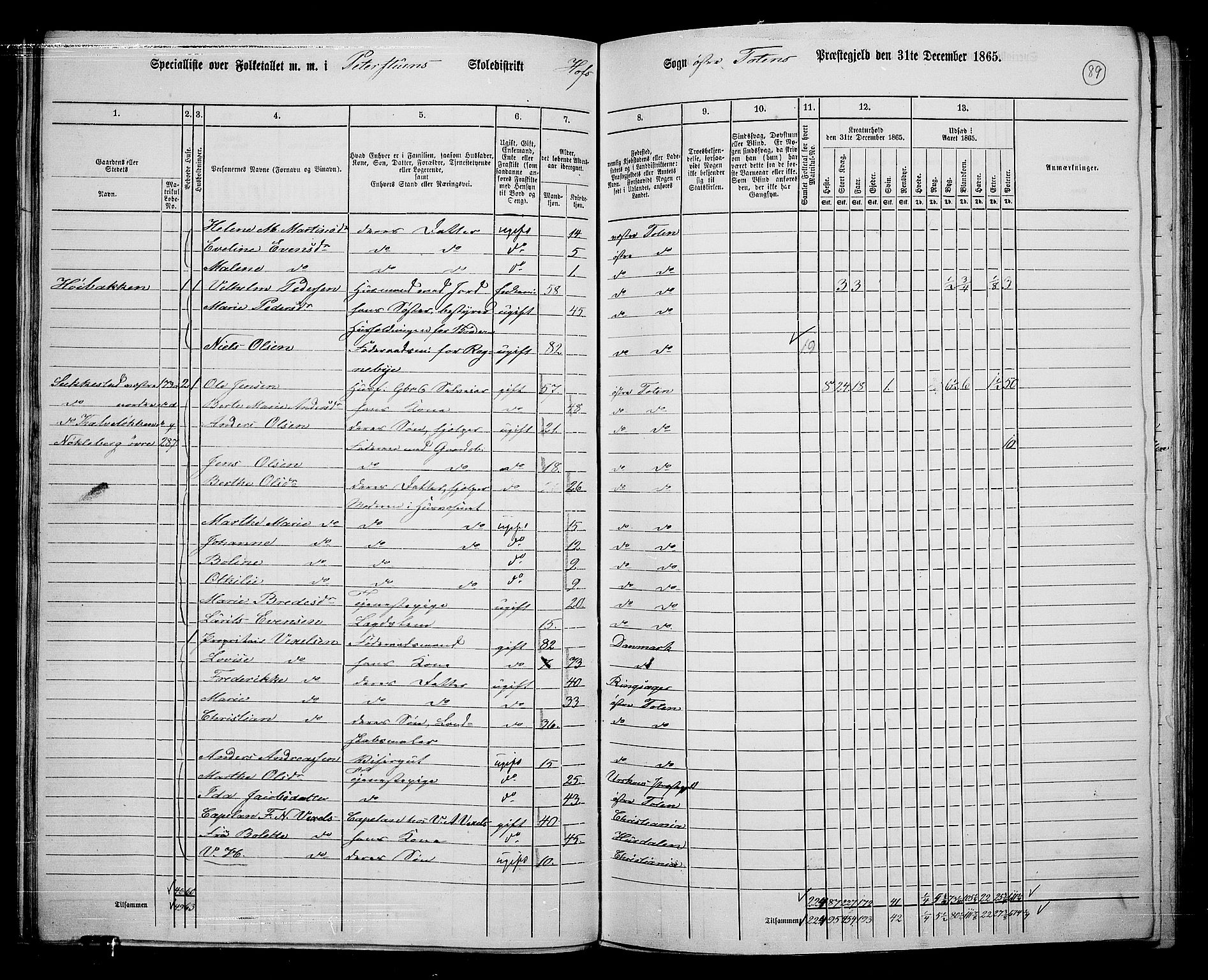RA, 1865 census for Østre Toten, 1865, p. 210