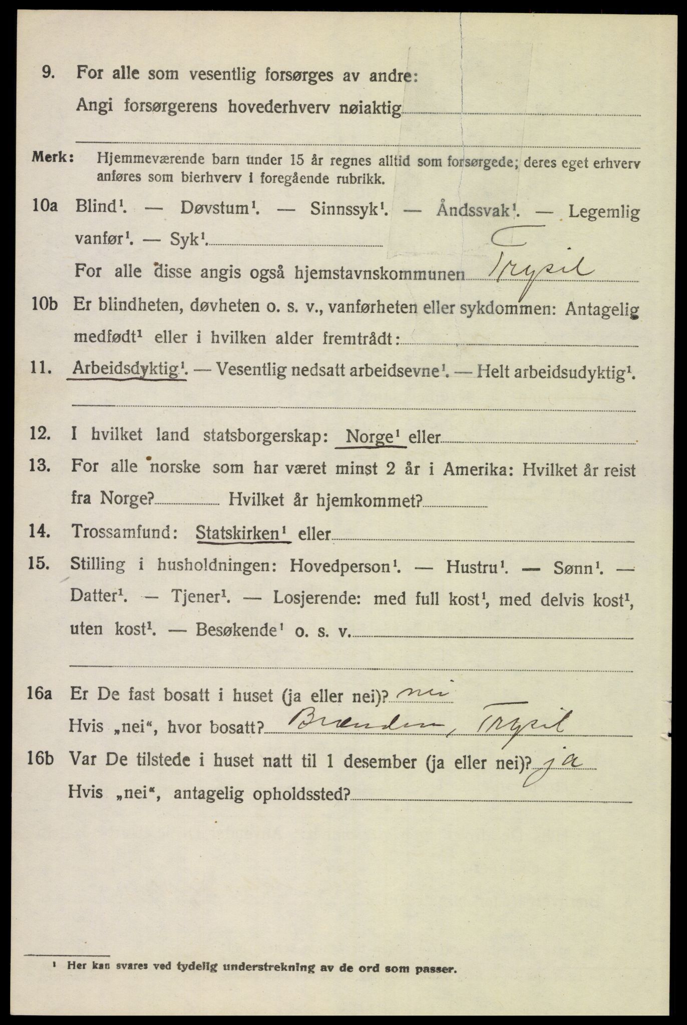 SAH, 1920 census for Trysil, 1920, p. 9410