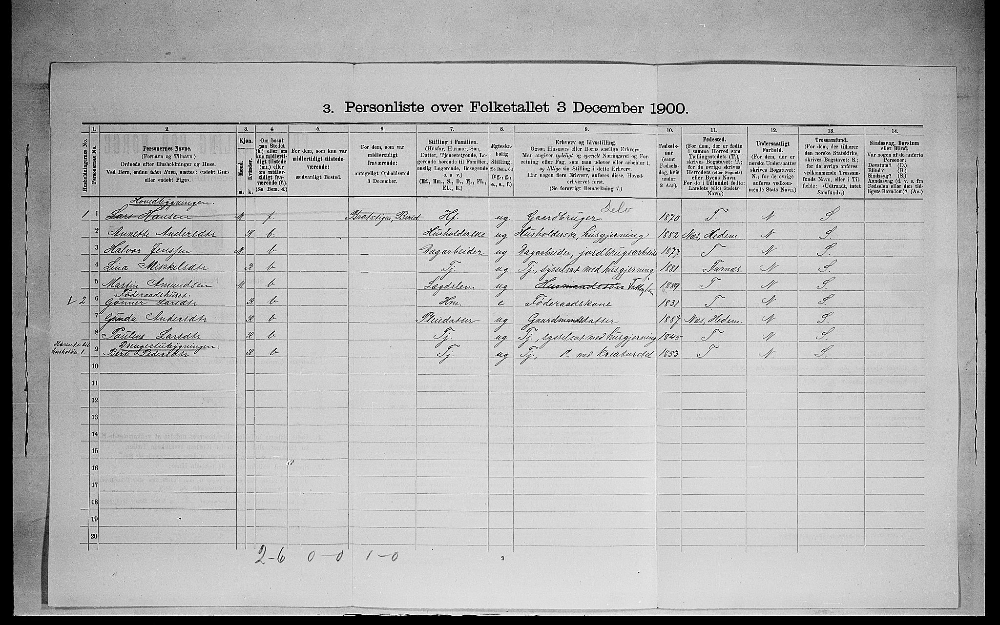 SAH, 1900 census for Ringsaker, 1900, p. 1074