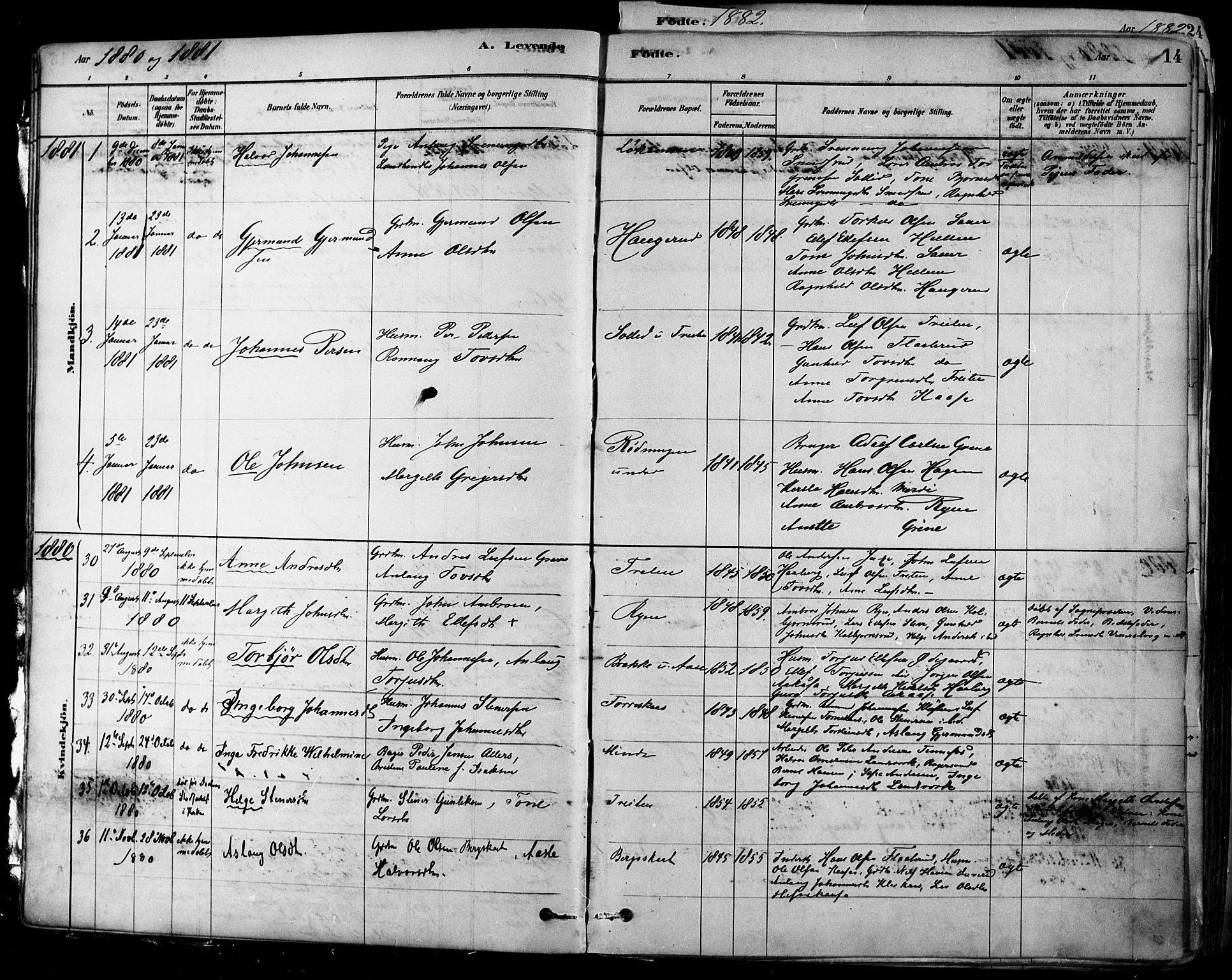 Heddal kirkebøker, SAKO/A-268/F/Fa/L0008: Parish register (official) no. I 8, 1878-1903, p. 14