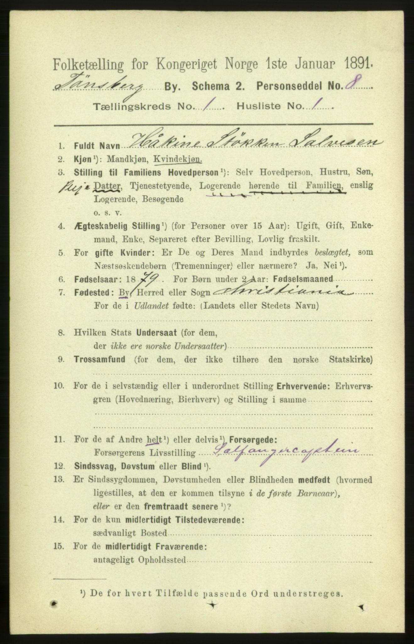 RA, 1891 census for 0705 Tønsberg, 1891, p. 1172