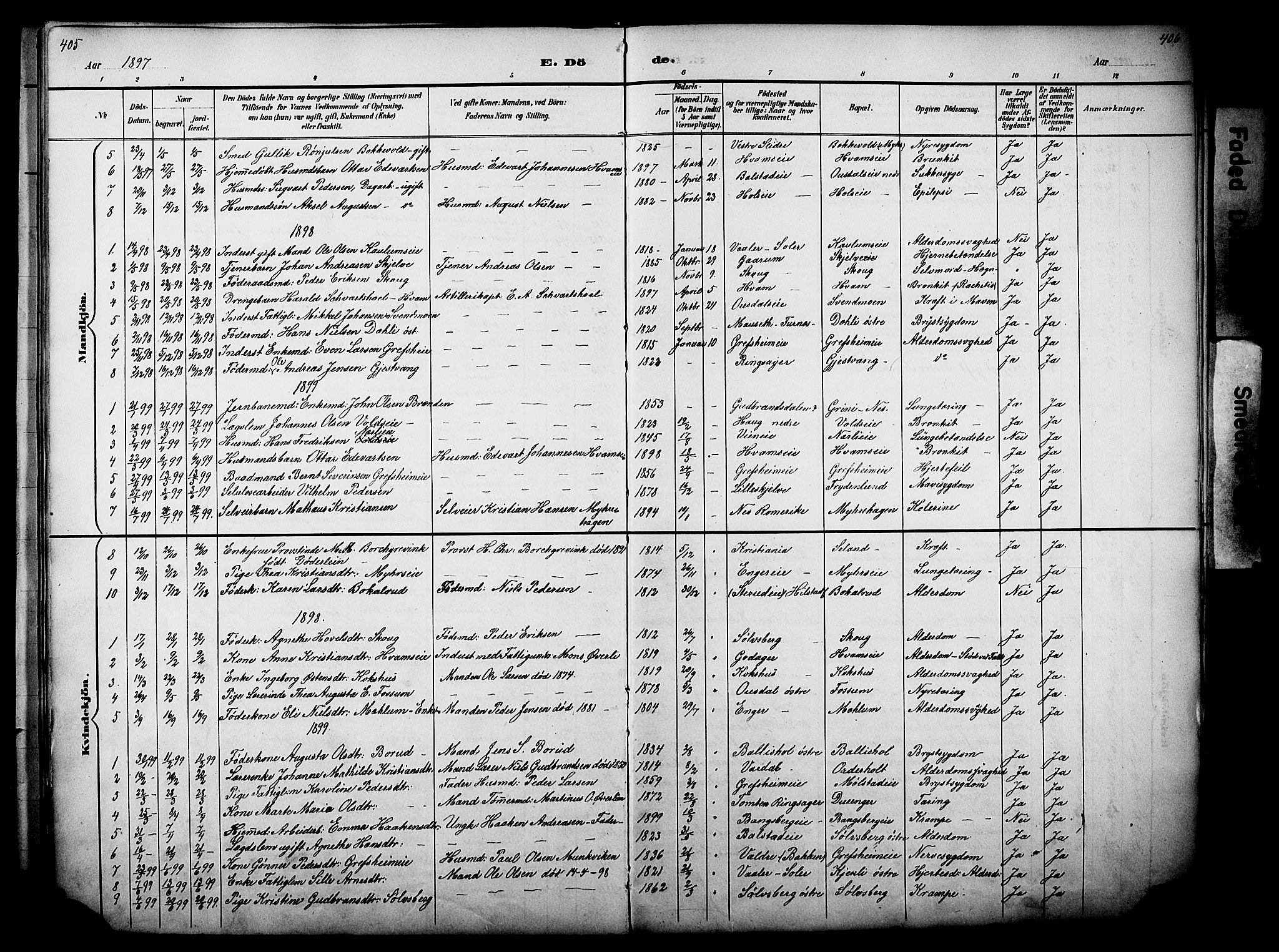 Nes prestekontor, Hedmark, AV/SAH-PREST-020/L/La/L0006: Parish register (copy) no. 6, 1890-1932, p. 405-406