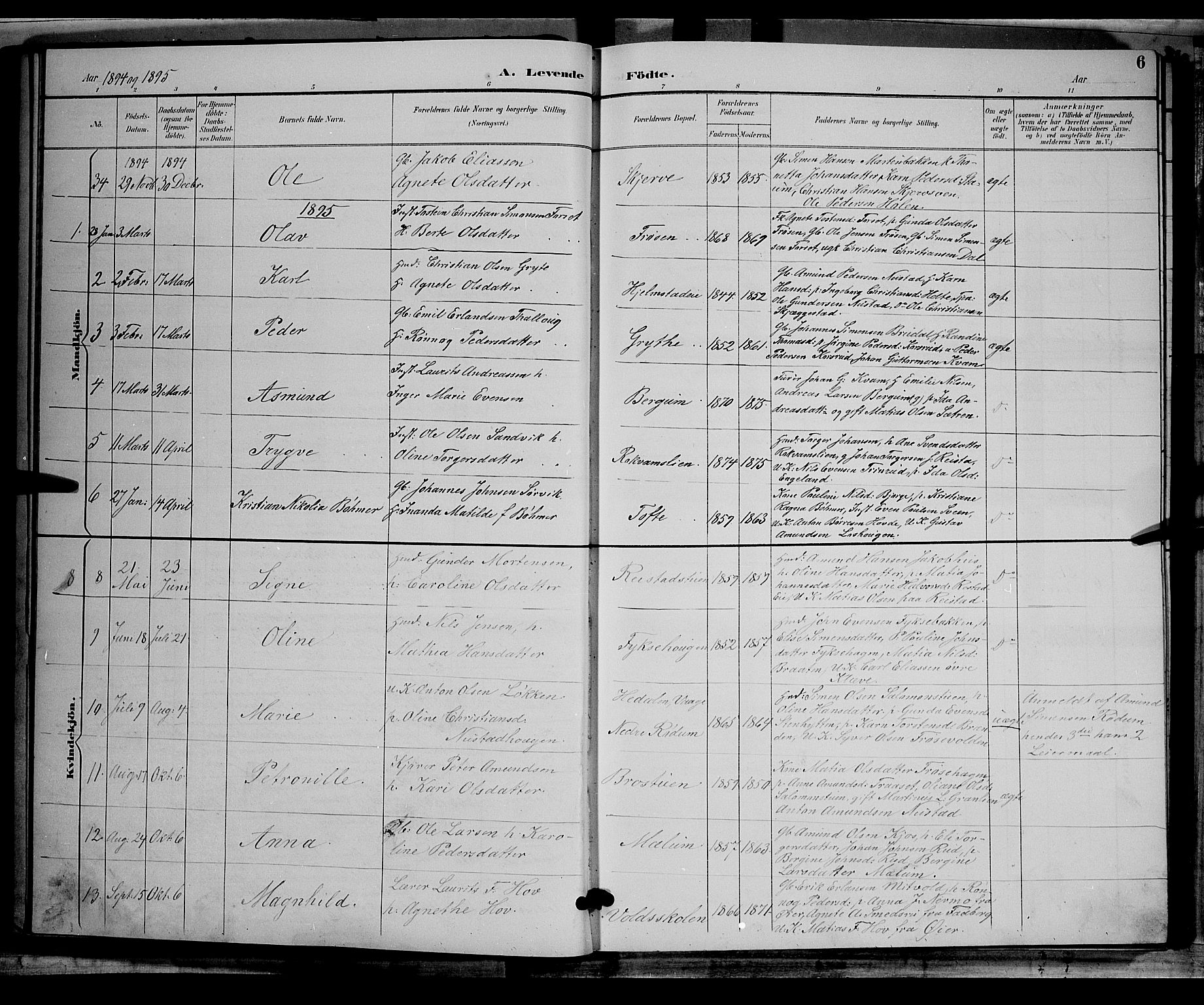 Østre Gausdal prestekontor, AV/SAH-PREST-092/H/Ha/Hab/L0002: Parish register (copy) no. 2, 1894-1904, p. 6