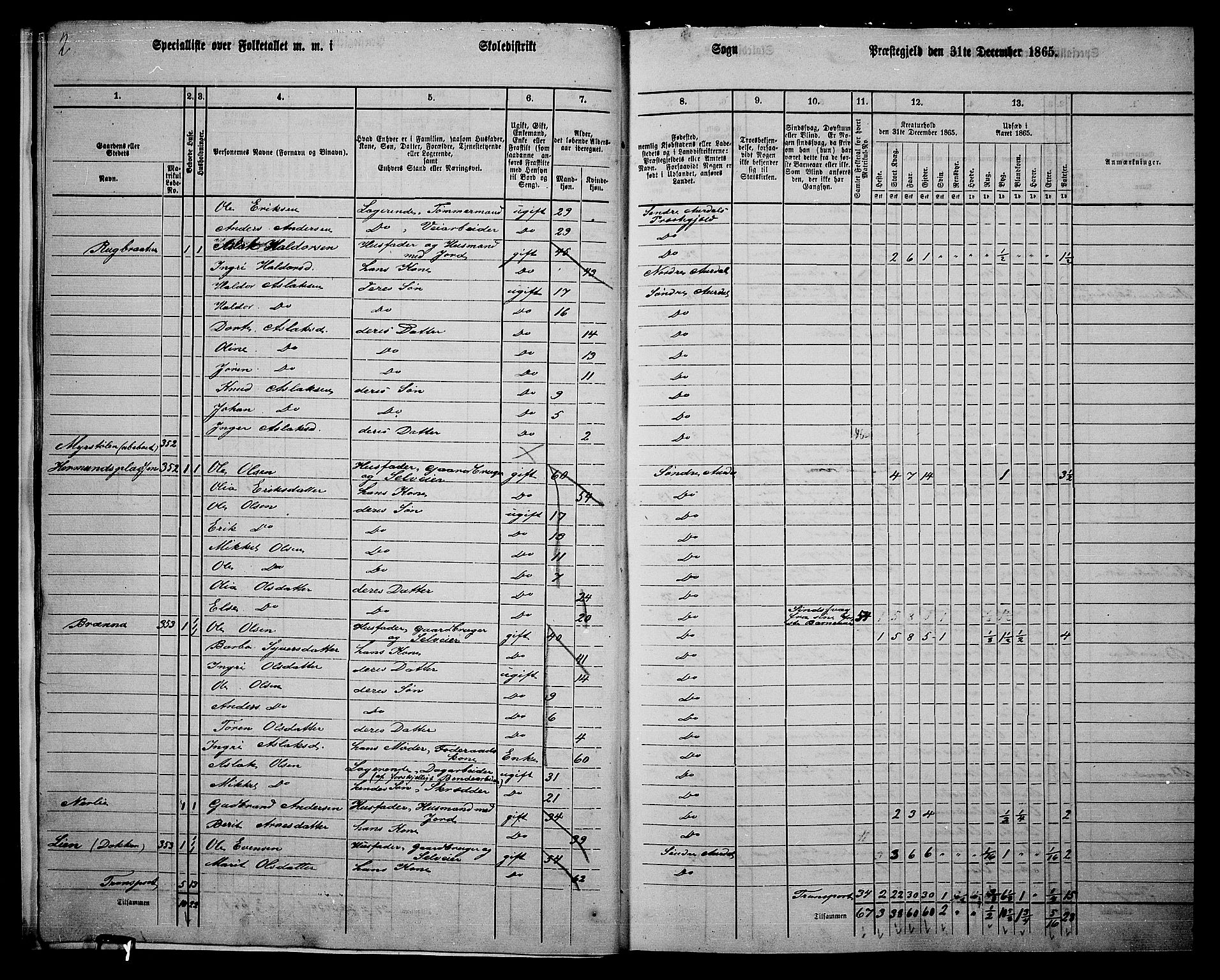 RA, 1865 census for Sør-Aurdal, 1865, p. 18