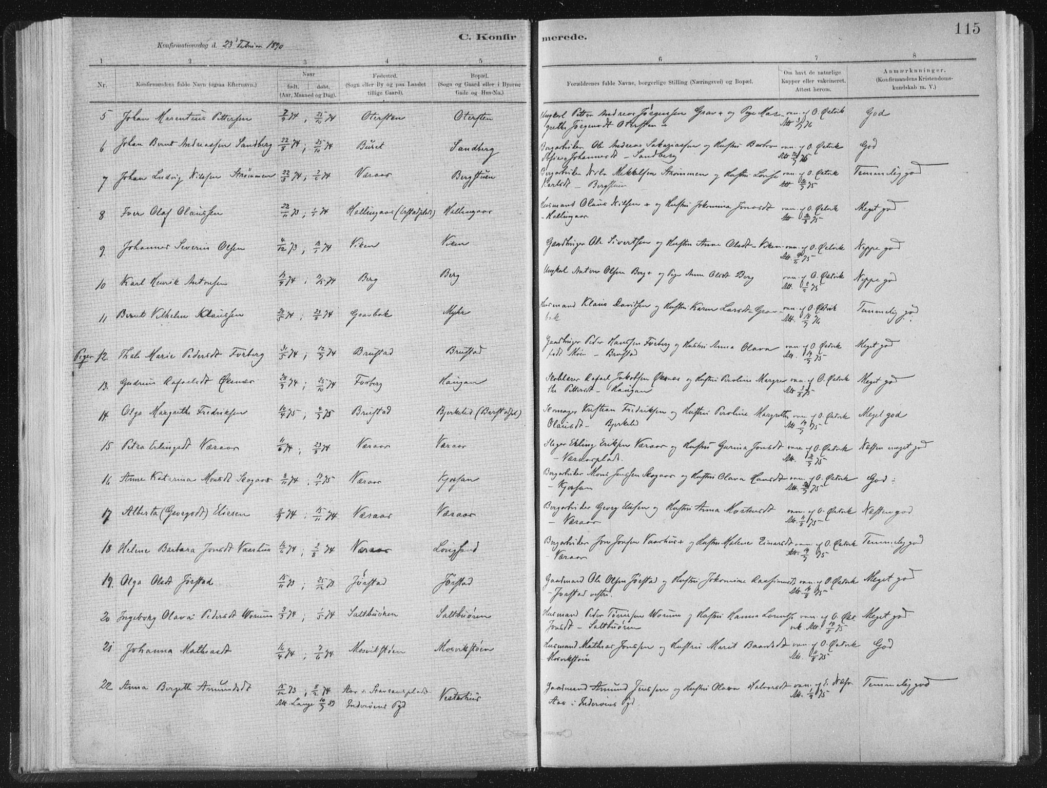 Ministerialprotokoller, klokkerbøker og fødselsregistre - Nord-Trøndelag, AV/SAT-A-1458/722/L0220: Parish register (official) no. 722A07, 1881-1908, p. 115