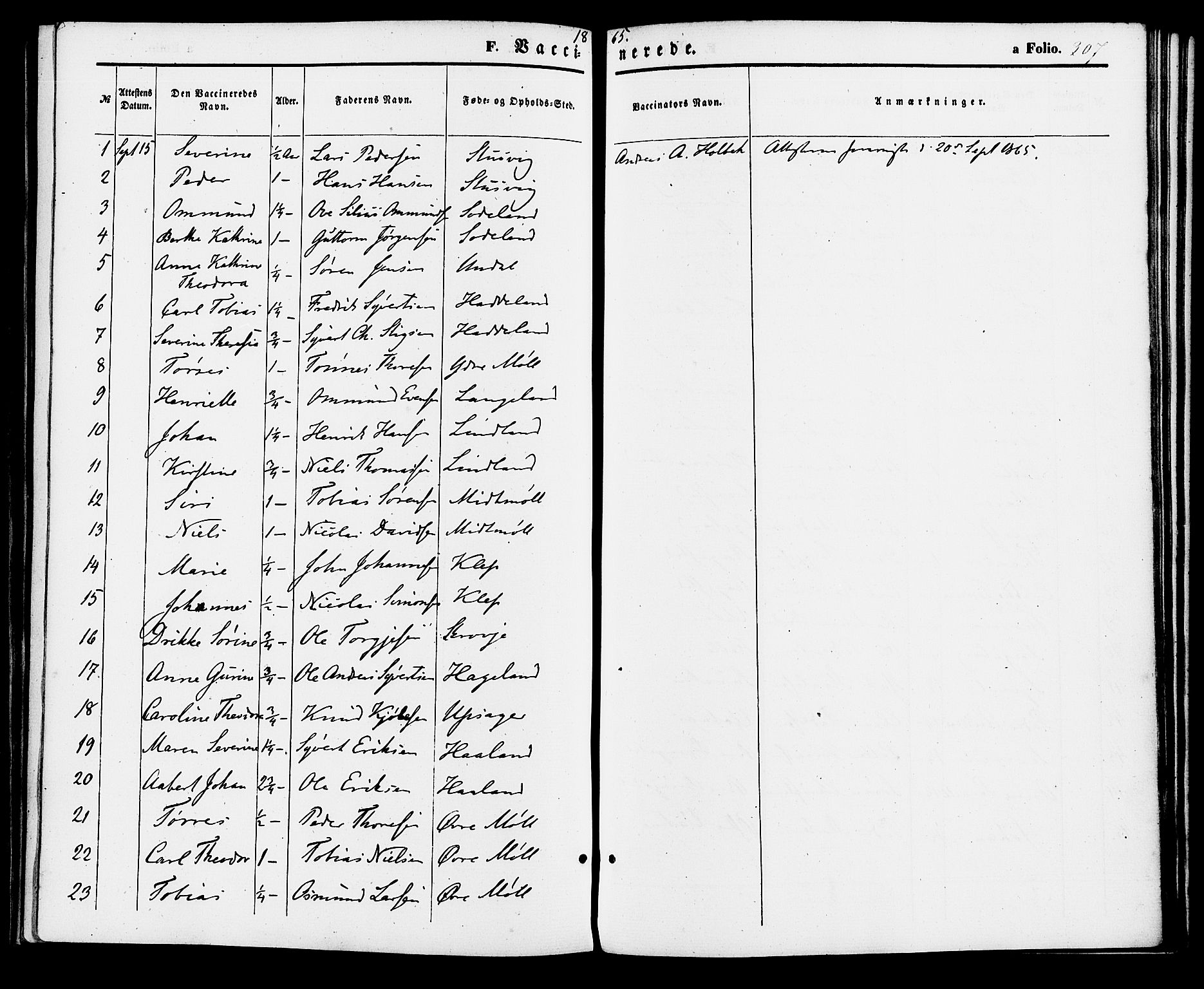Holum sokneprestkontor, SAK/1111-0022/F/Fa/Faa/L0006: Parish register (official) no. A 6, 1865-1883, p. 307