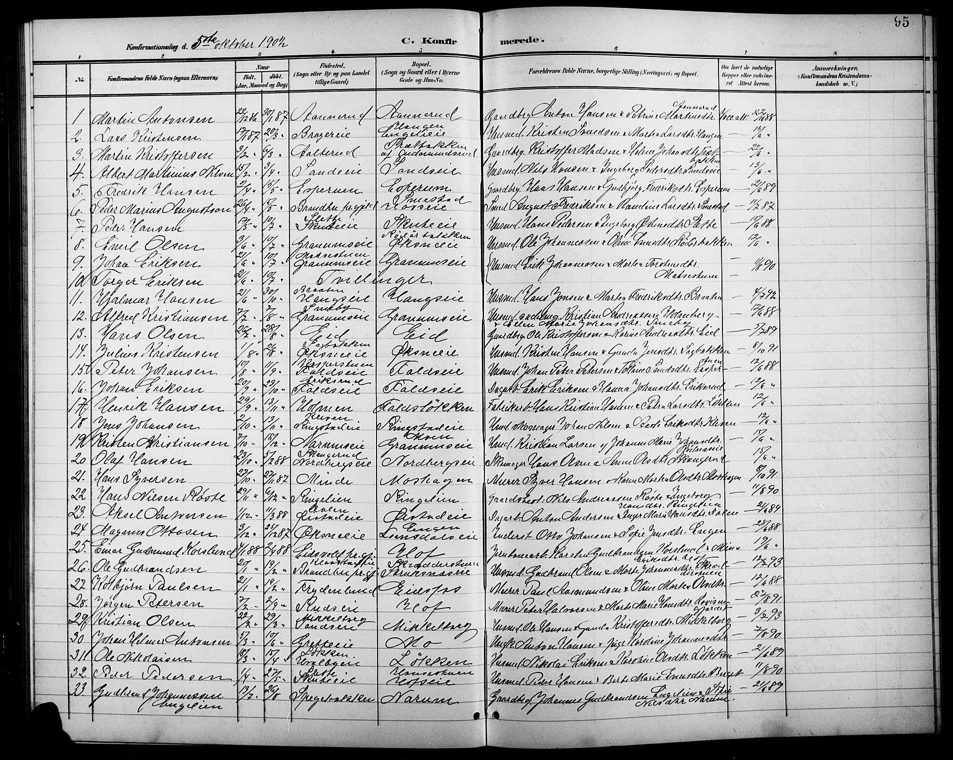 Søndre Land prestekontor, SAH/PREST-122/L/L0004: Parish register (copy) no. 4, 1901-1915, p. 95