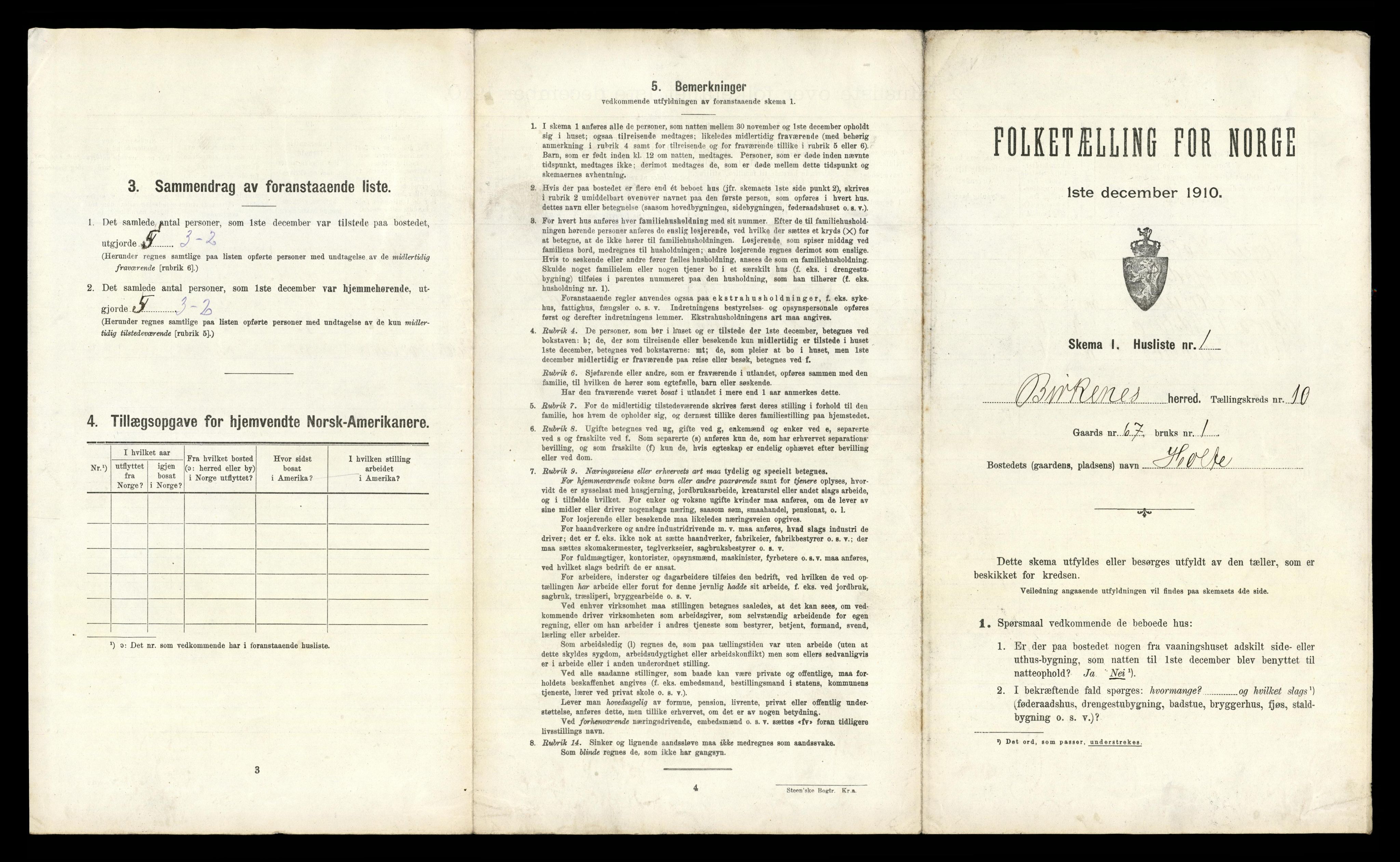 RA, 1910 census for Birkenes, 1910, p. 738