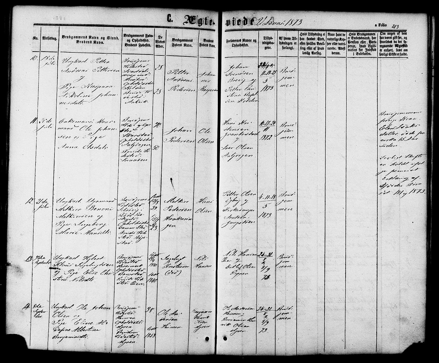 Ministerialprotokoller, klokkerbøker og fødselsregistre - Nordland, SAT/A-1459/810/L0146: Parish register (official) no. 810A08 /1, 1862-1874, p. 213