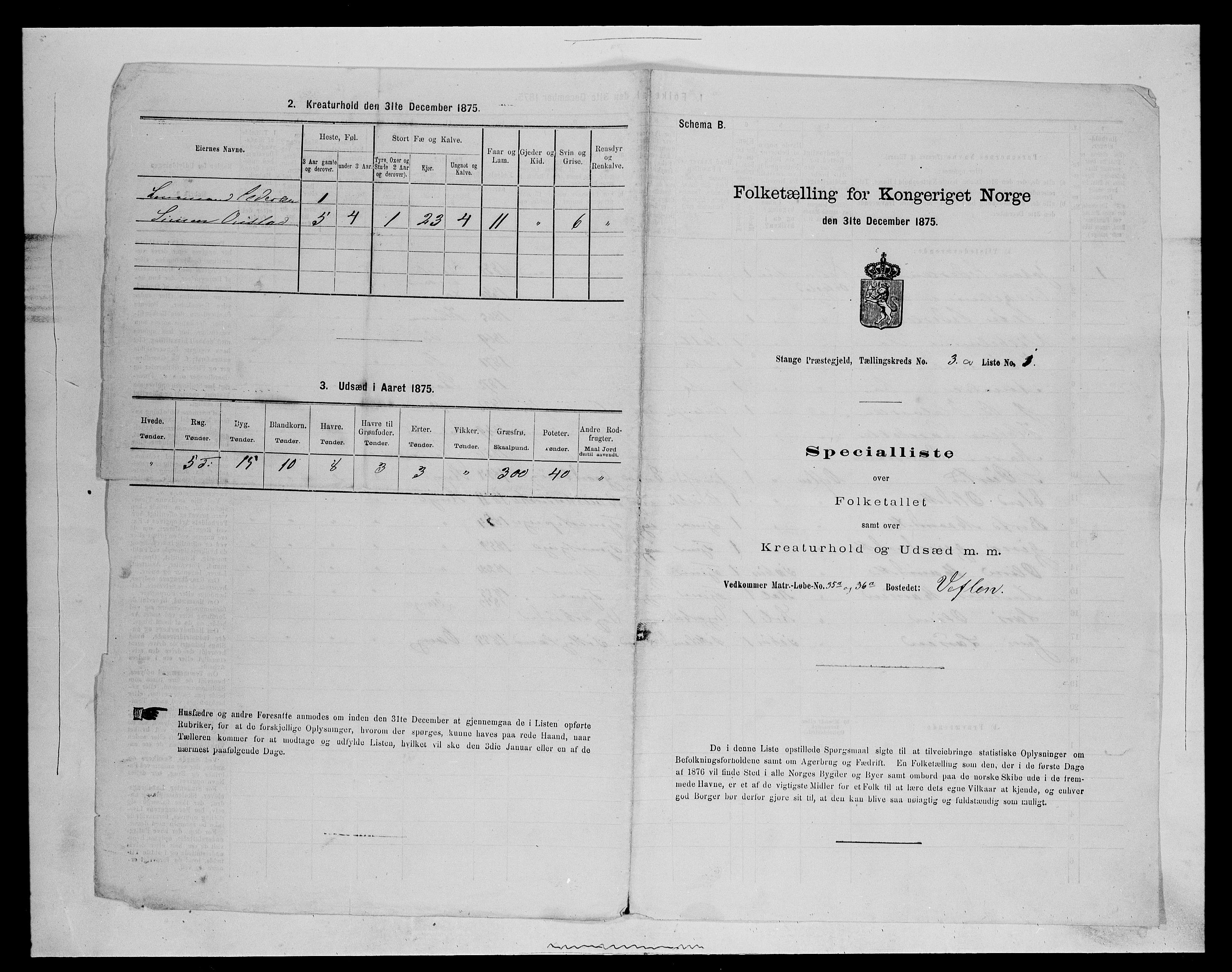 SAH, 1875 census for 0417P Stange, 1875, p. 427