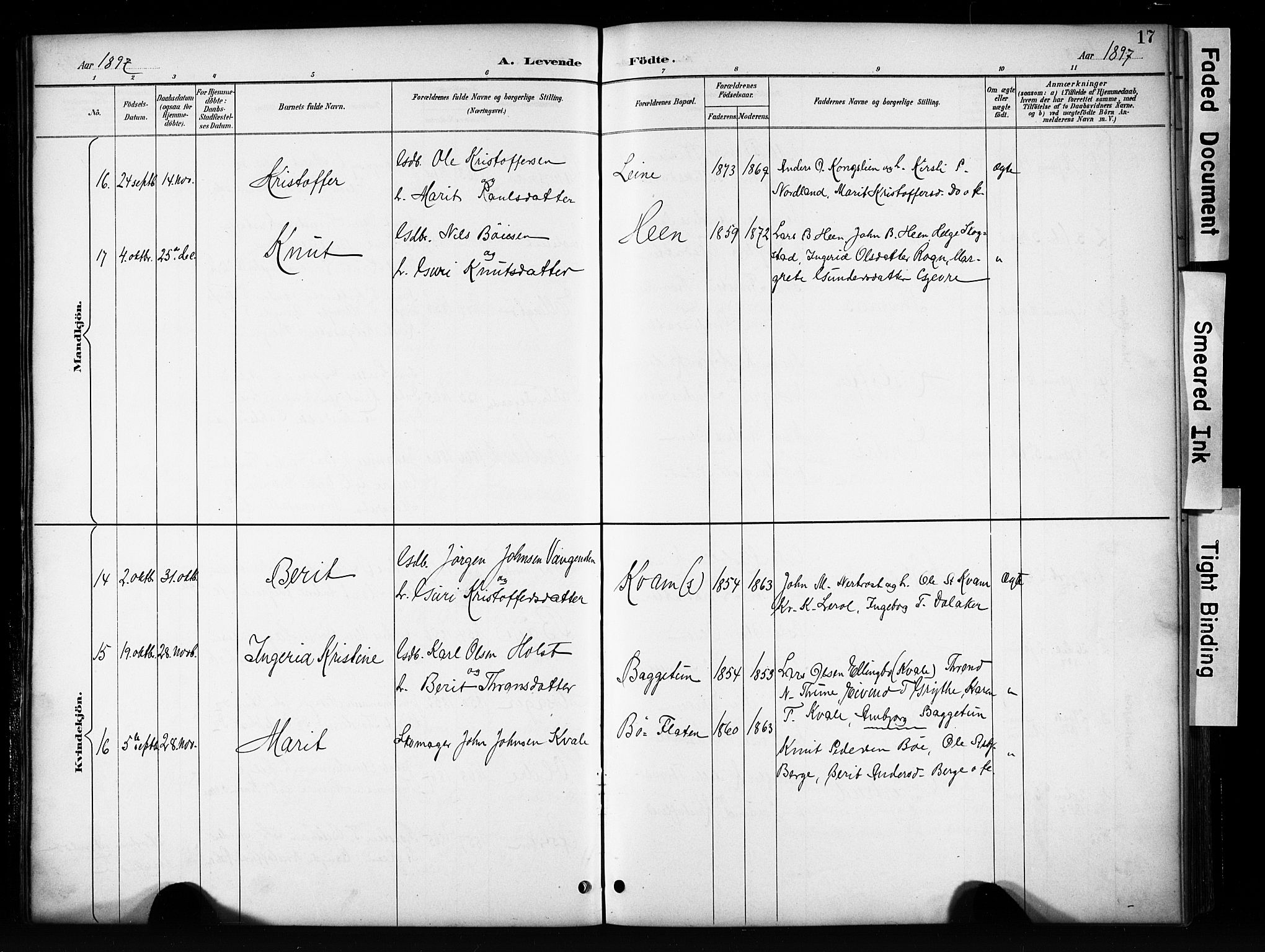 Vang prestekontor, Valdres, SAH/PREST-140/H/Hb/L0006: Parish register (copy) no. 6, 1893-1918, p. 17
