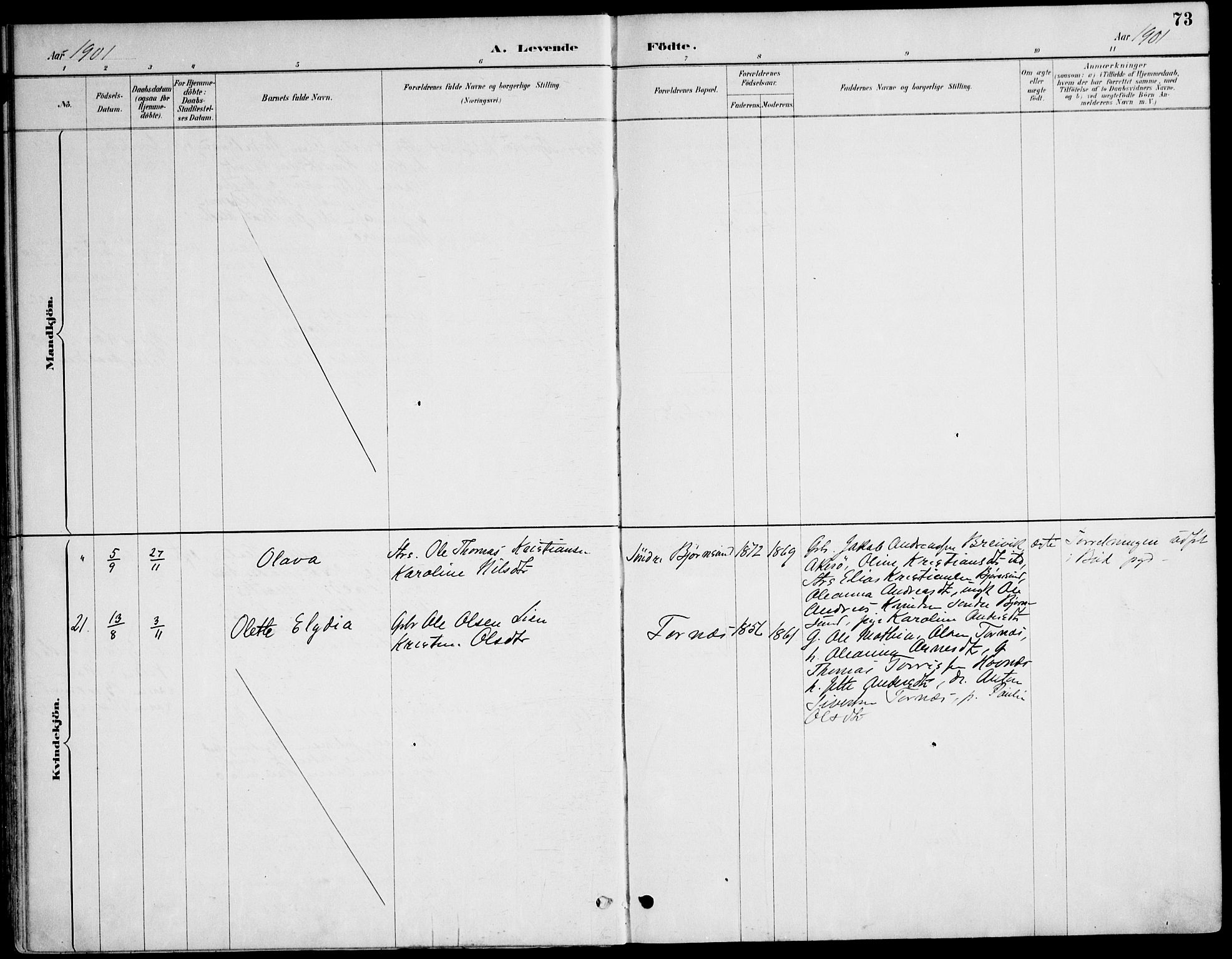 Ministerialprotokoller, klokkerbøker og fødselsregistre - Møre og Romsdal, SAT/A-1454/565/L0750: Parish register (official) no. 565A04, 1887-1905, p. 73