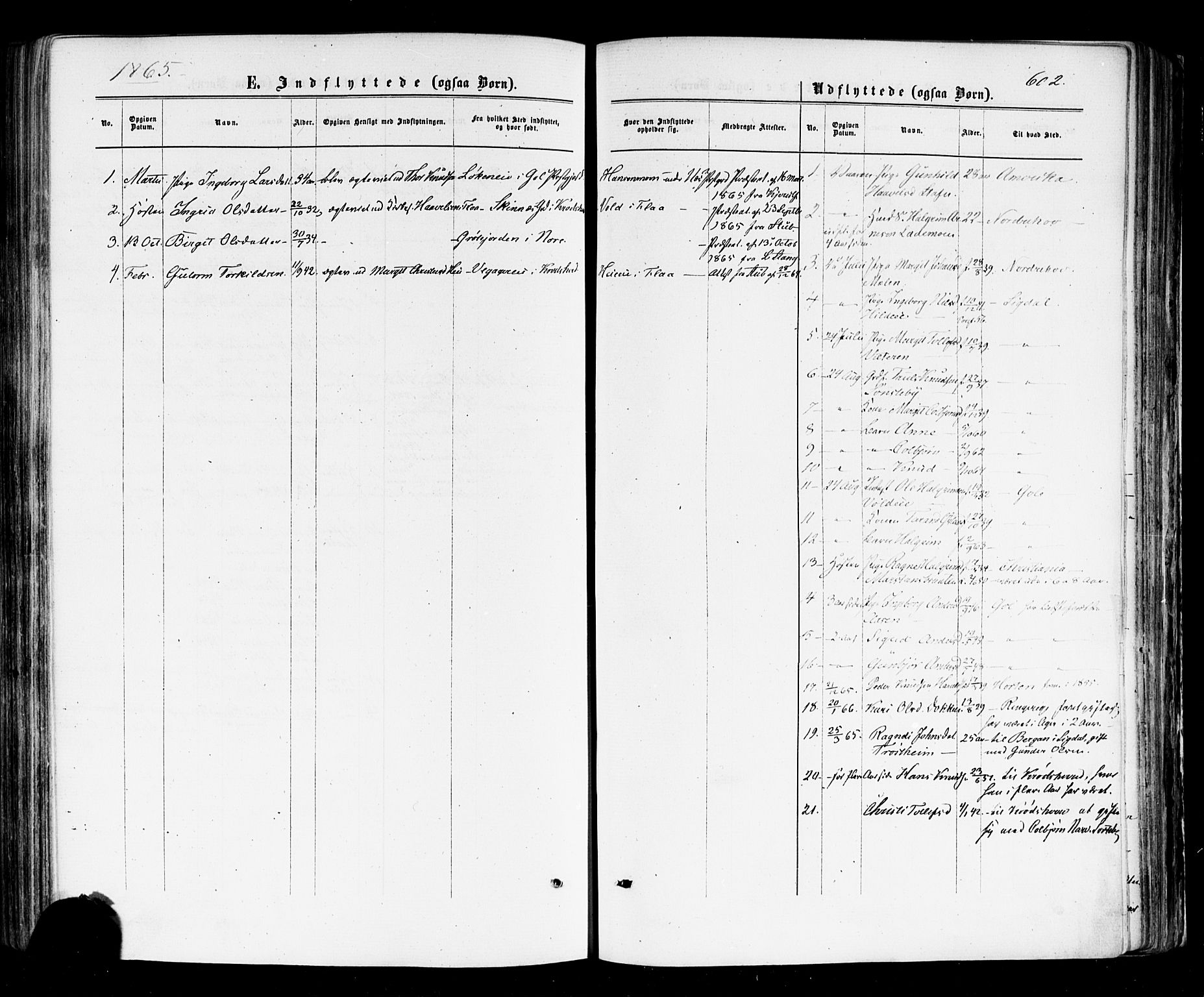 Nes kirkebøker, SAKO/A-236/F/Fa/L0010: Parish register (official) no. 10, 1864-1880, p. 602