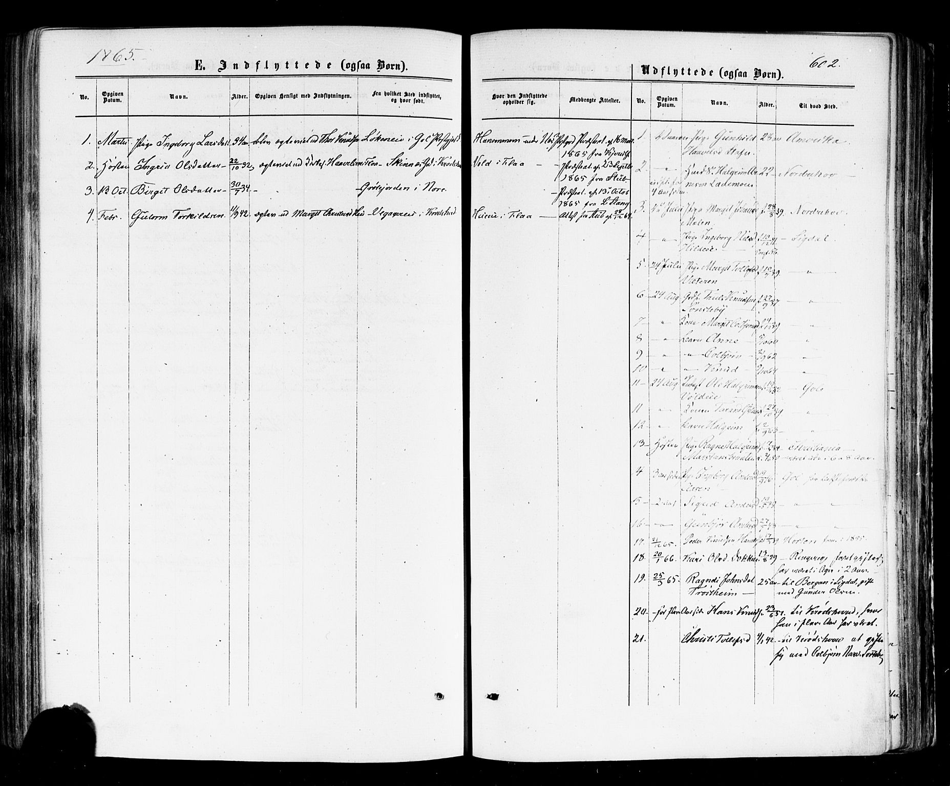 Nes kirkebøker, AV/SAKO-A-236/F/Fa/L0010: Parish register (official) no. 10, 1864-1880, p. 602