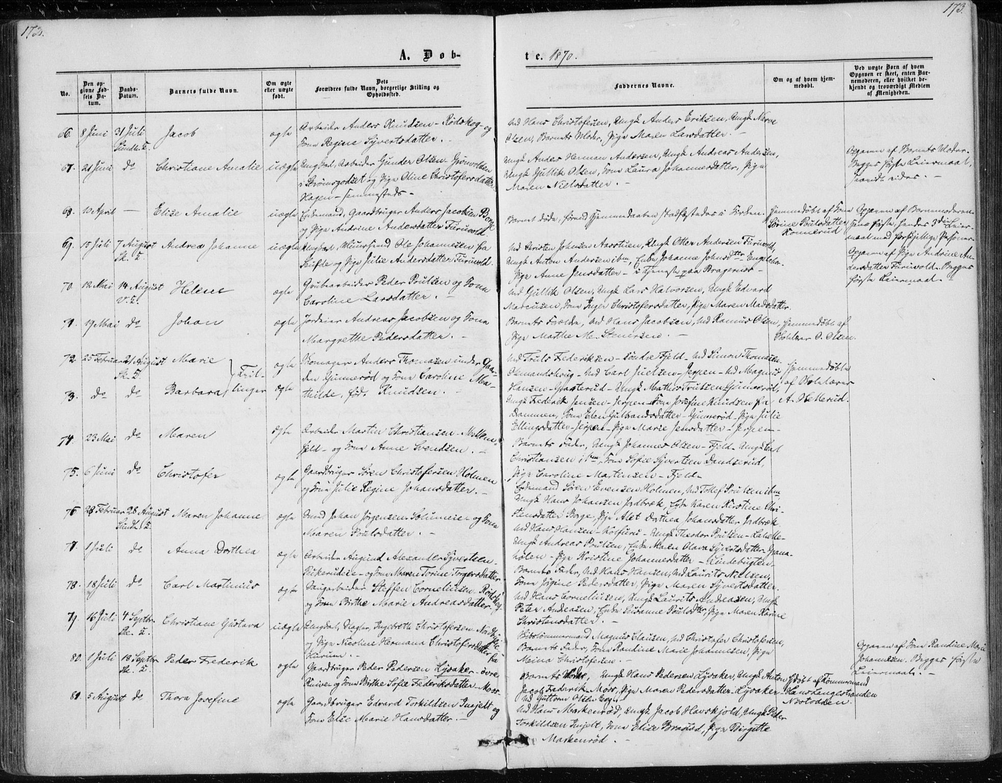 Skoger kirkebøker, AV/SAKO-A-59/F/Fa/L0004: Parish register (official) no. I 4, 1862-1872, p. 172-173